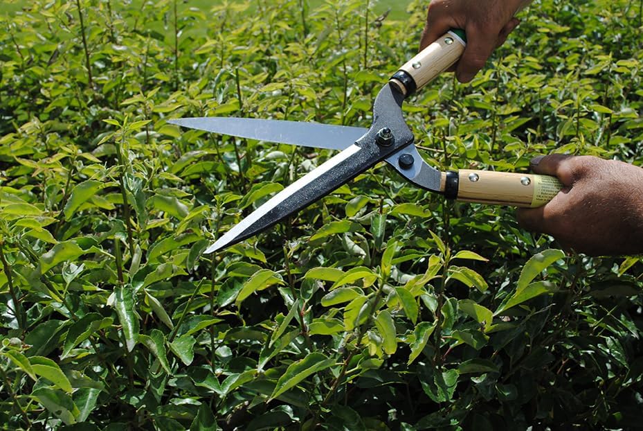 Okatsune Precision Hedge Shears 6" Blade, 20" total length