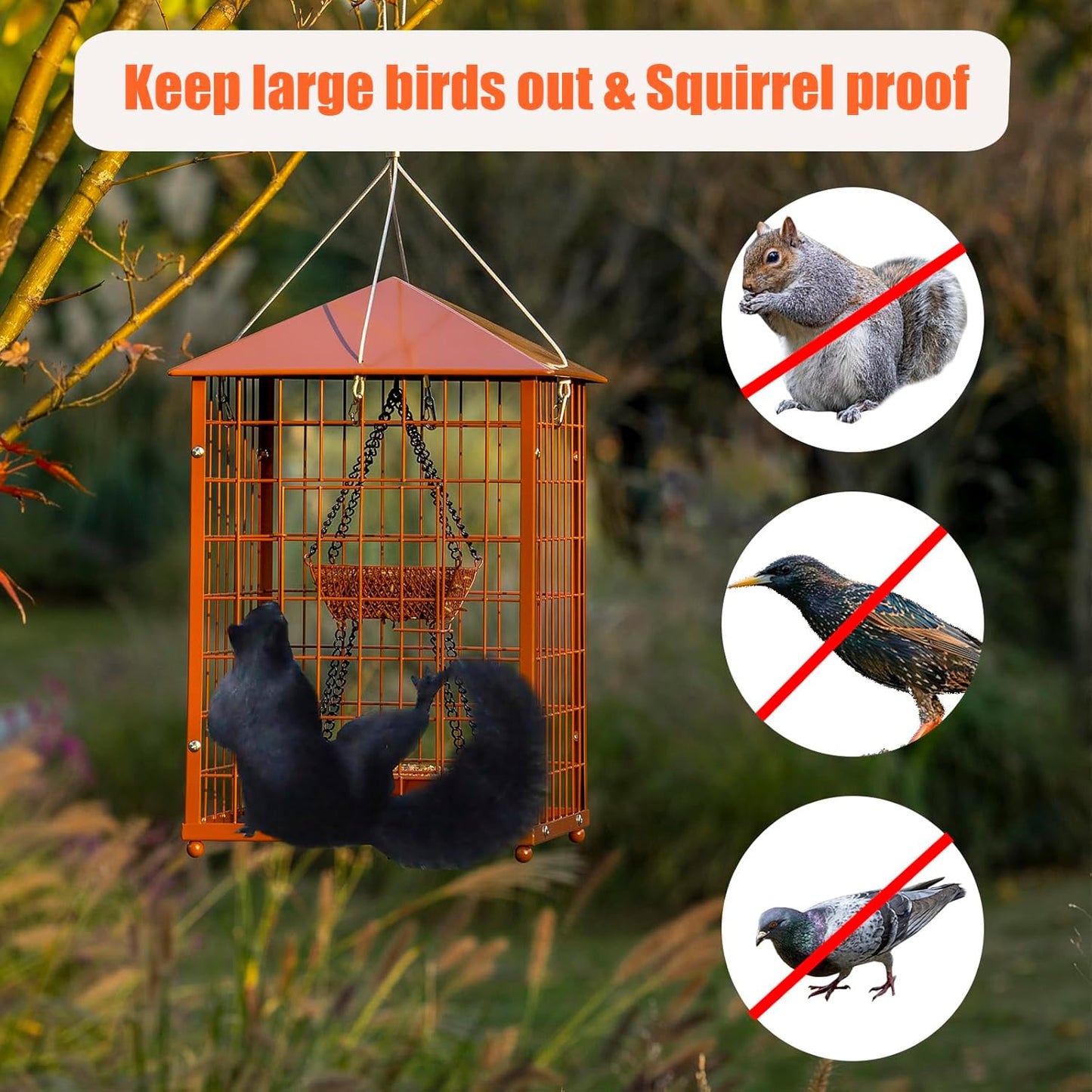 Mealworms Bird Feeders for Bluebirds - Metal - Huge Caged Squirrel-Proof Bird Feeders with 2 Cups, DIY Wild Bird Feeders Outdoor Hanging (Brown), Attract Wild Birds, 2lbs Seed Capacity+1 Mealworms Cup
