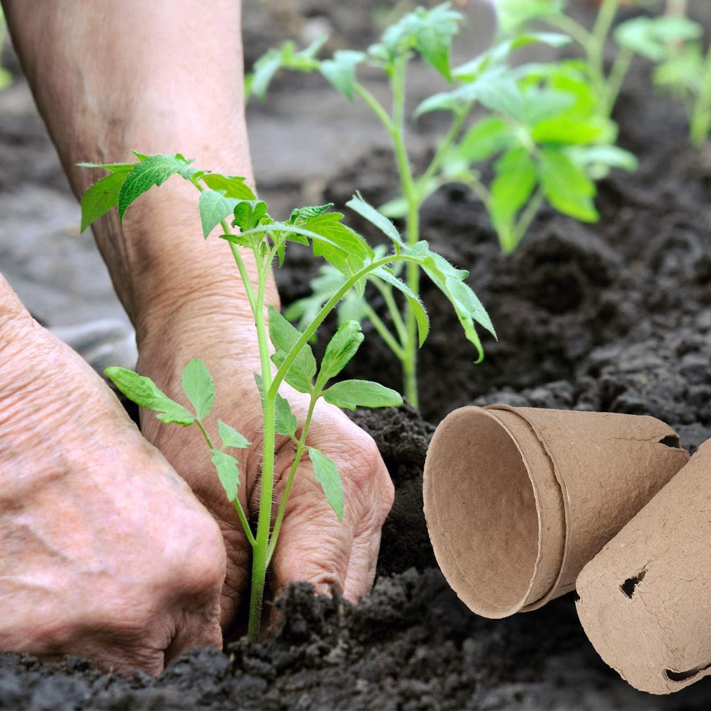 homenote Peat Pots, 60 Pcs 3.15 Inch Seed Starting Pots with Drainage 