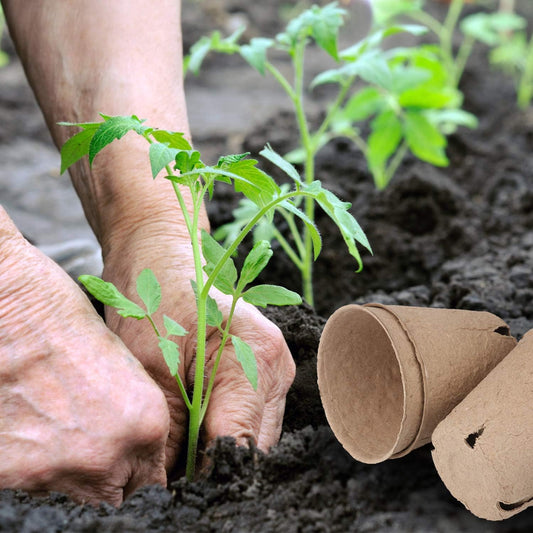 homenote Peat Pots, 60 Pcs 3.15 Inch Seed Starting Pots with Drainage 