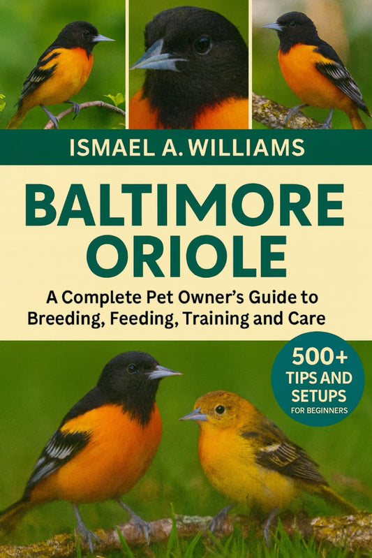 Baltimore Orioles: A complete Pet owner’s Guide to Breeding, Feeding, Training and Care