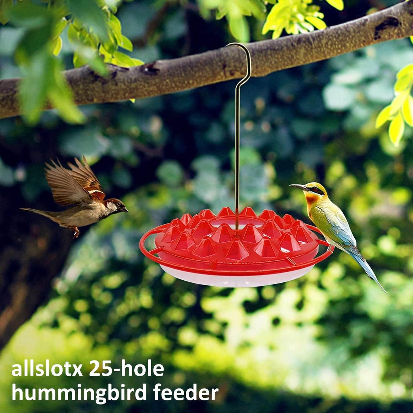 Hummingbird Feeders for Outdoors Hanging - 25 Feeding Ports 10 oz Plas