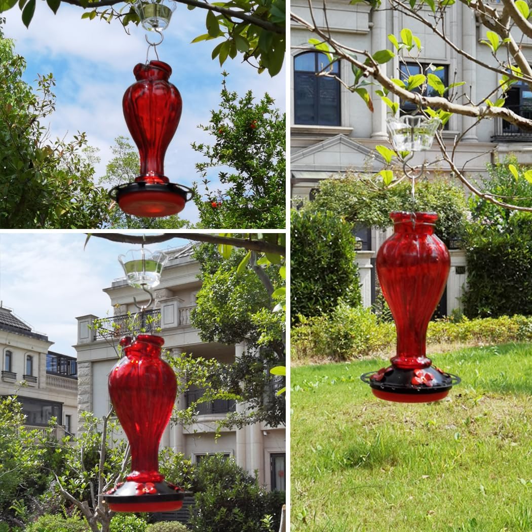 Hummingbird Feeder for Outdoors Hanging - Red Glass Nectar Feeding Bottle Including Clear Ant Moat - 24 OZ (710ml), 4 Red Flower Ports, Black Cover