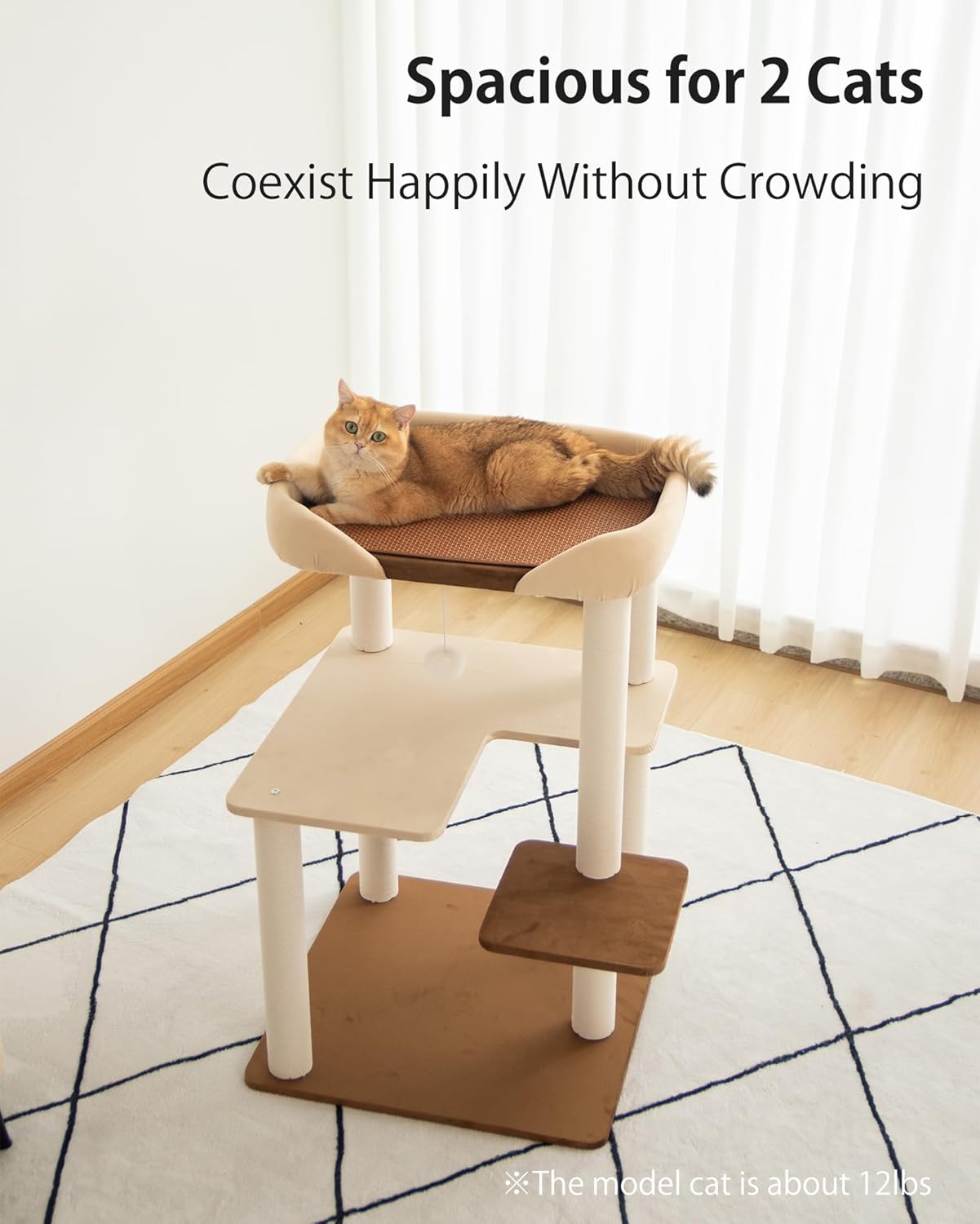 Cat Tree for Large Cats, Modern Senior Friendly Cat Tower with Wide Sh