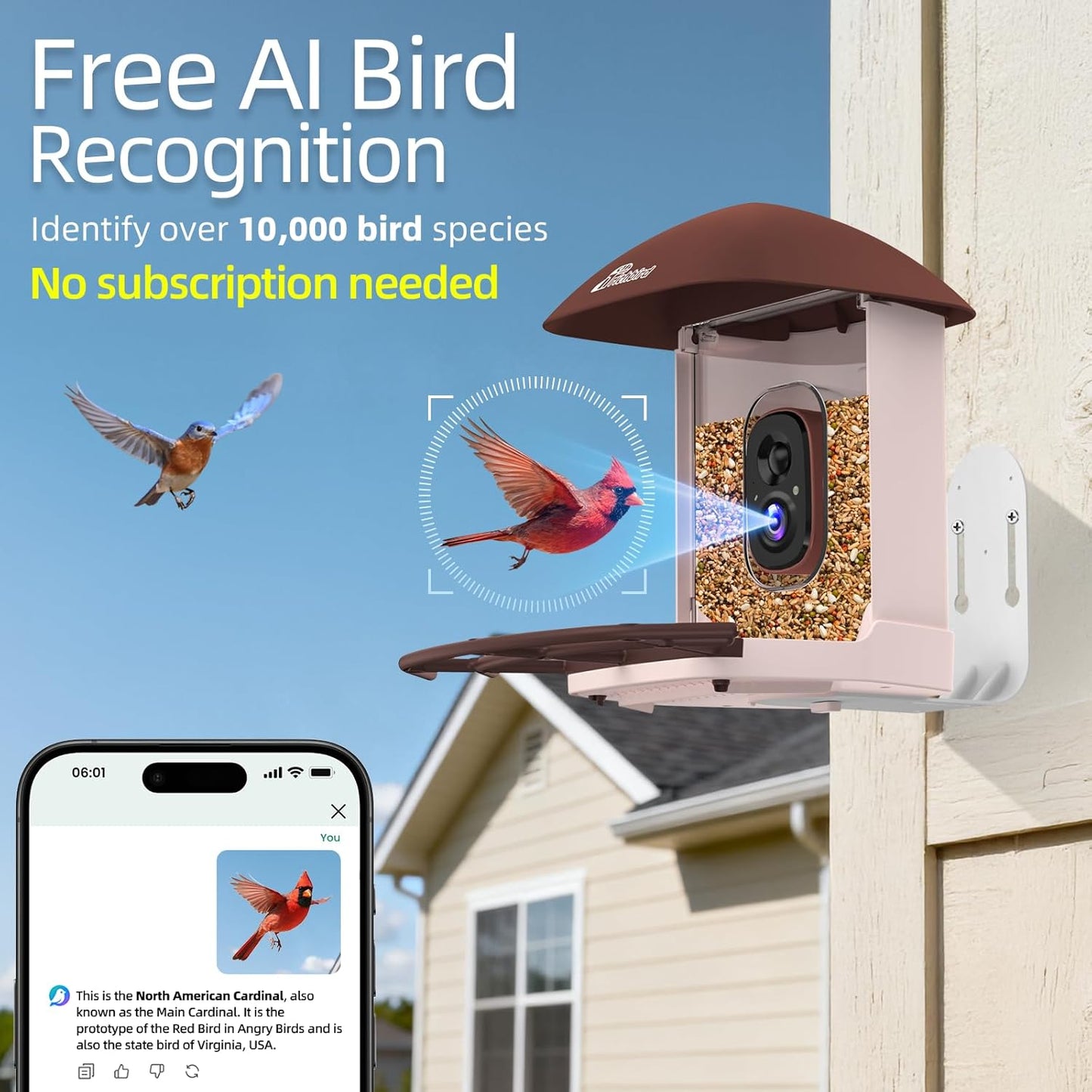 Smart Bird Feeder with Camera Solar Powered, 2.5K HD Birdwatching Camera with Free AI Bird Identification, Instant Notifications & Auto Video Capture, Brown