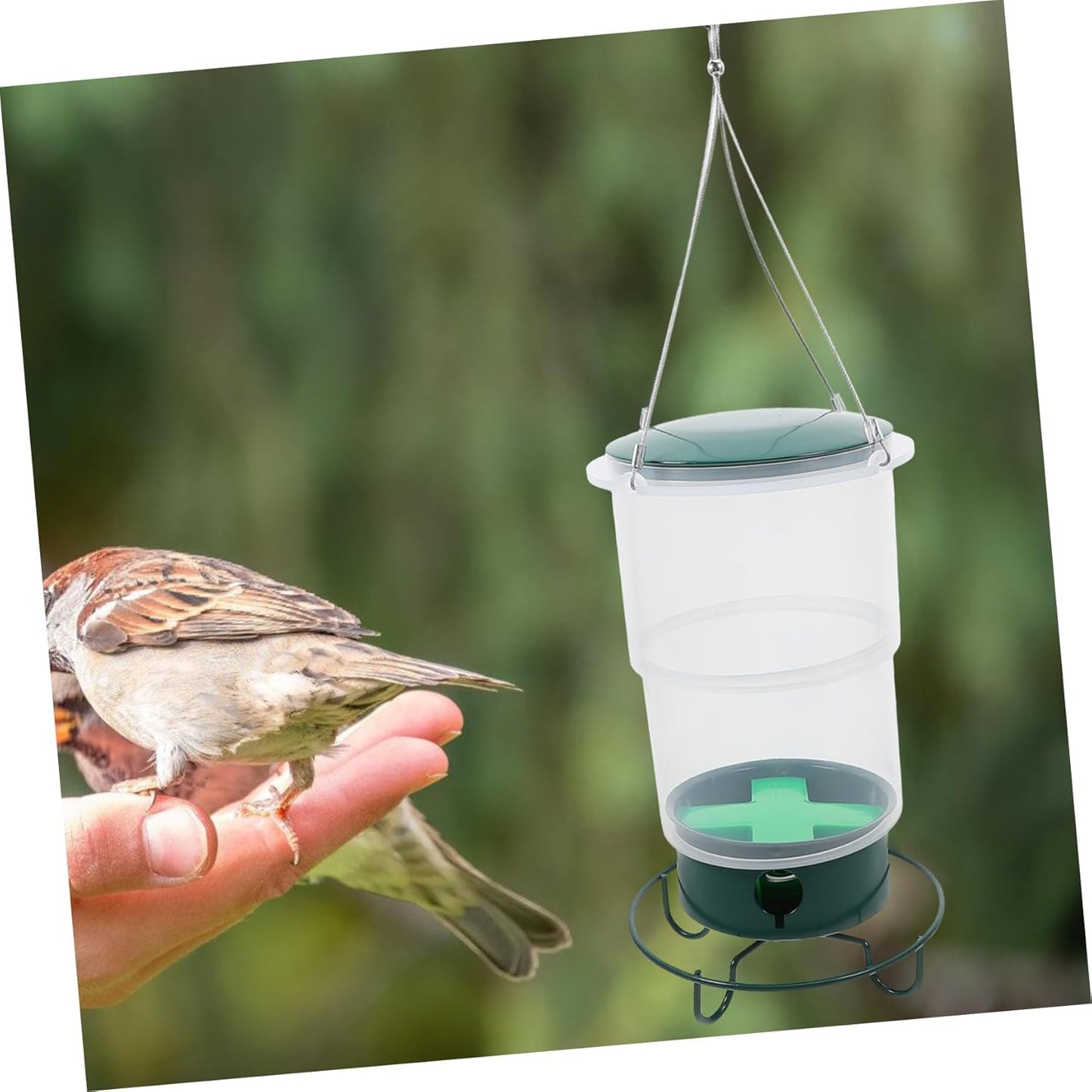 Milisten Garden Hummingbird Feeder with Decorative Durable Hanging Typ