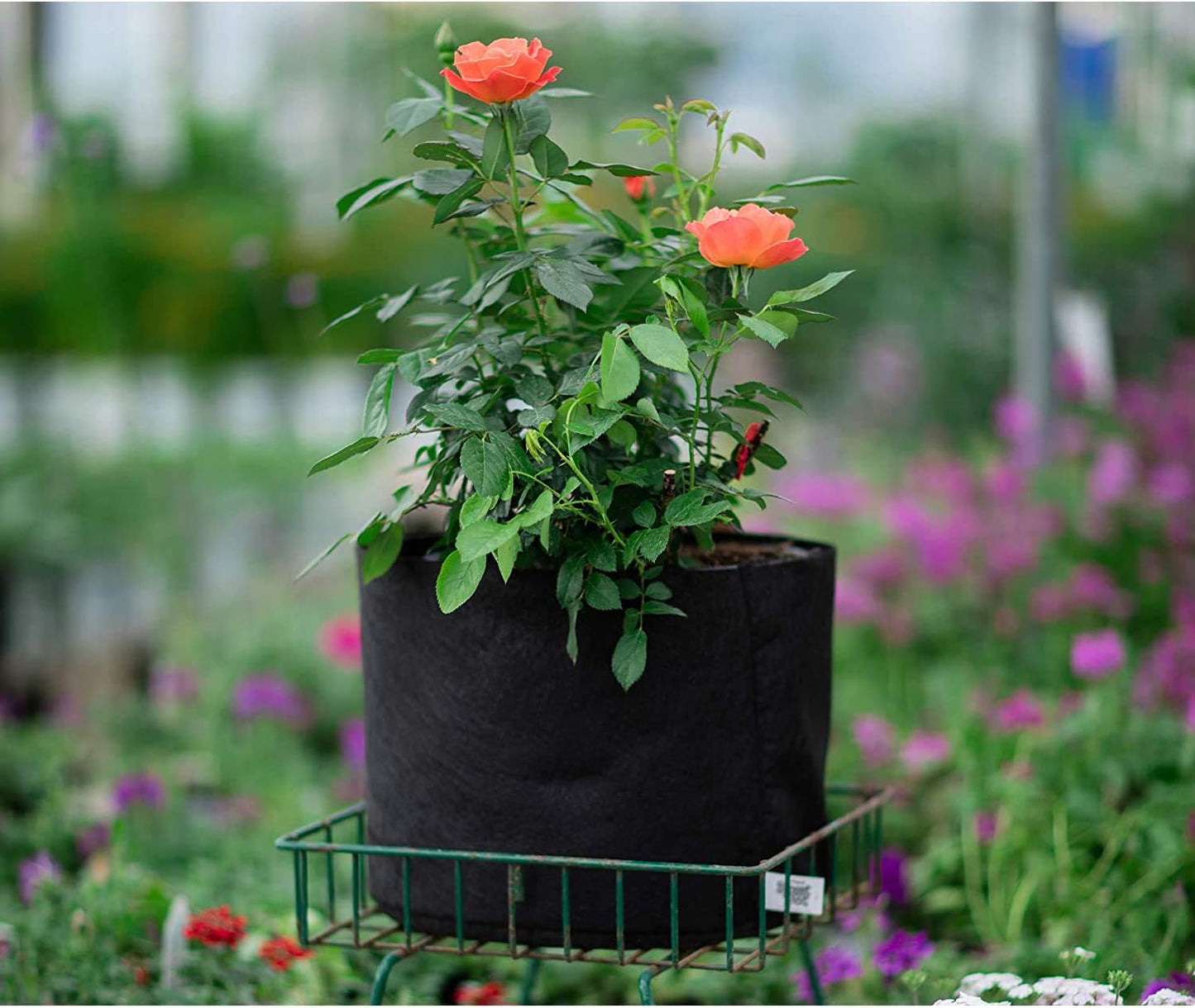 Smart Pots 30-Gallon Smart Pot Soft-Sided Container, Black