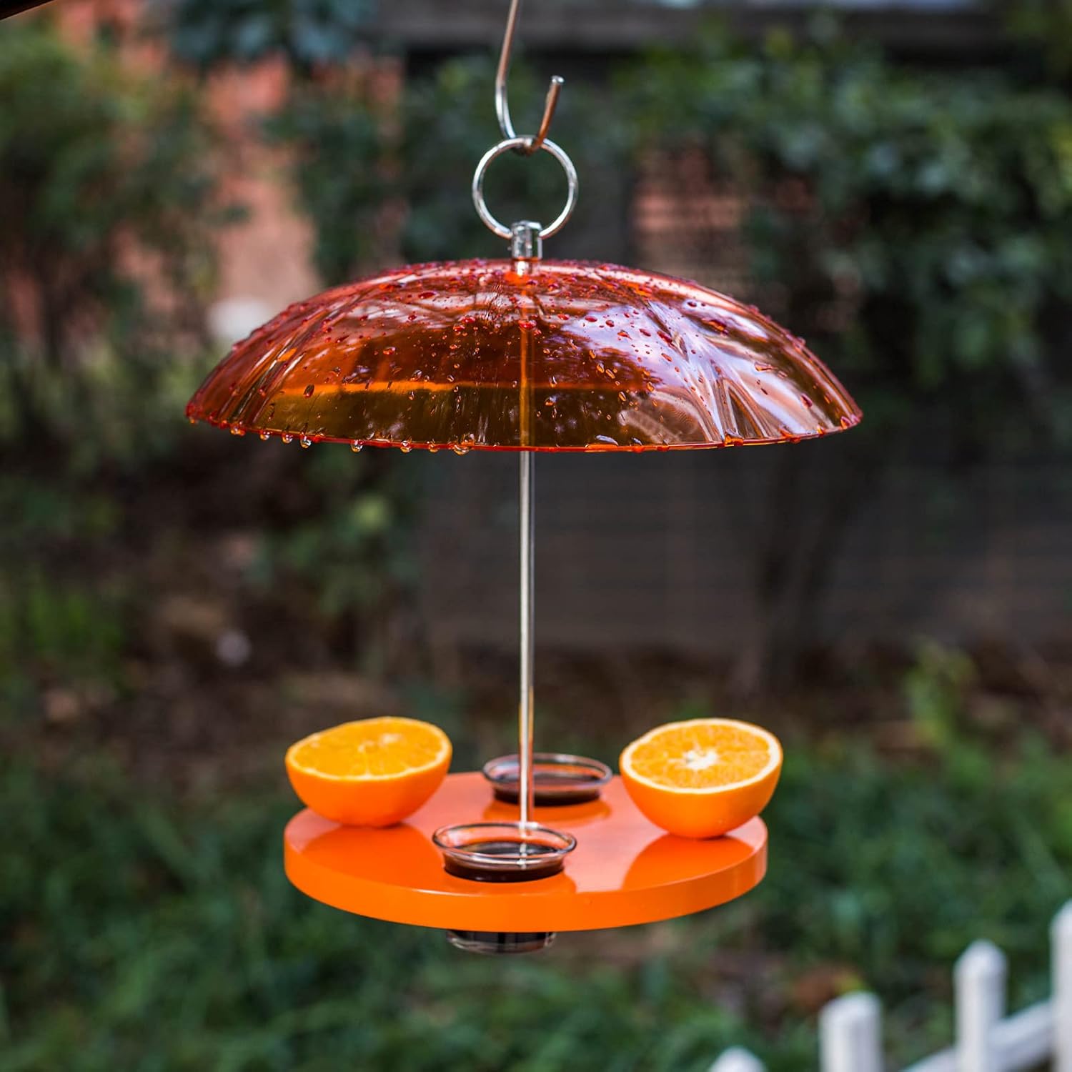 Kingsyard Oriole Bird Feeders for Outdoors Hanging, Double-Cup Jelly P