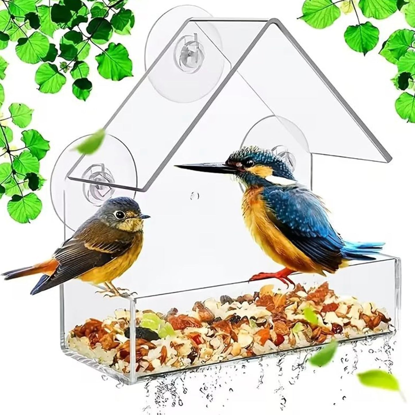 Window Bird Feeder - Clear Acrylic Large Capacity | Suction Cup Bird F