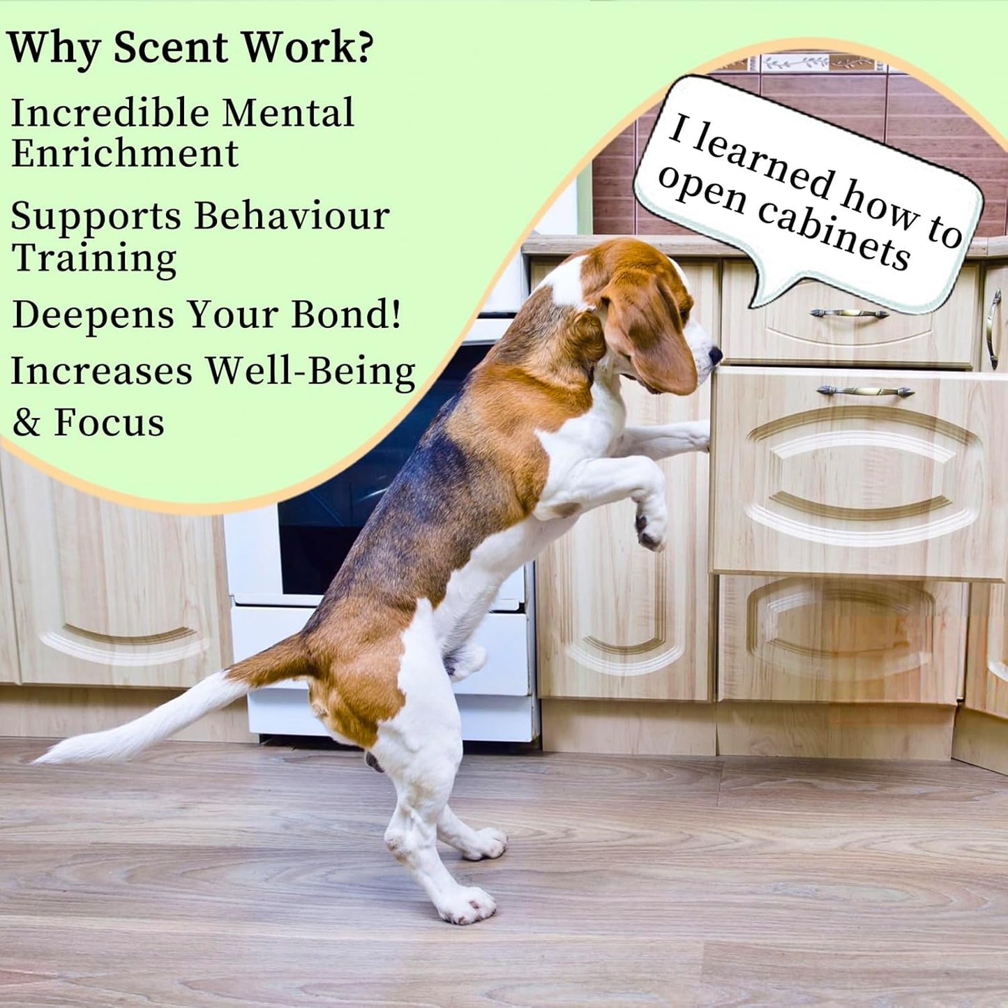 Dog Scent Training kit, Brain Games, Hide and Seek Toys - Fun Nose Wor