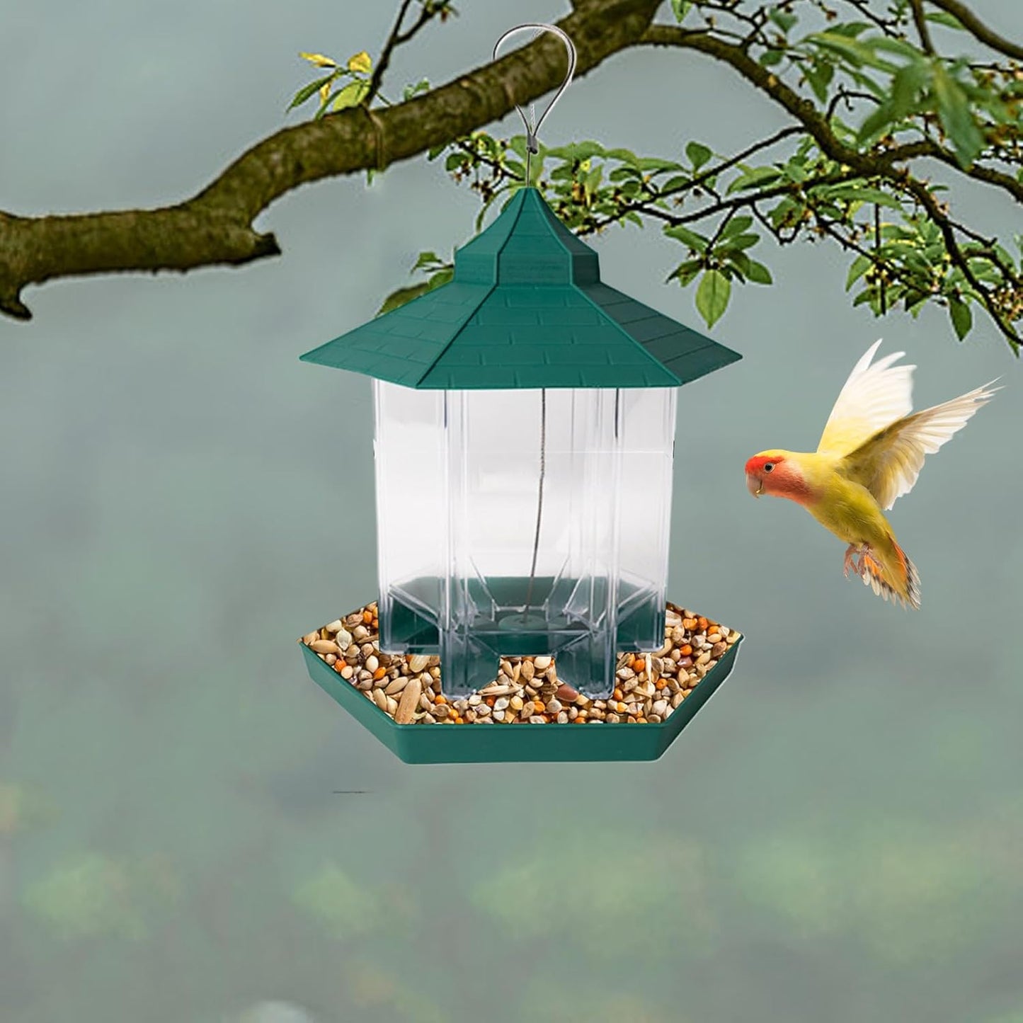 Bird Feeders Outside - Clear Gazebo Bowl, Suspending Station for Garden Wildlife, Transparent Seed Hub, Avian Hardware Supply with Six Ports, Outdoor Feeding Tool for Hosting Birds, & Viewing Nature