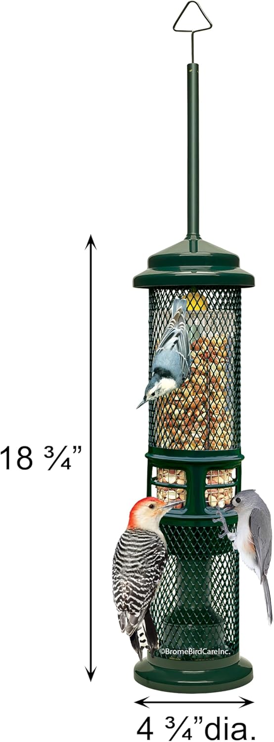 Squirrel Buster Nut Feeder Squirrel-Proof Bird Feeder for Nuts and Fru