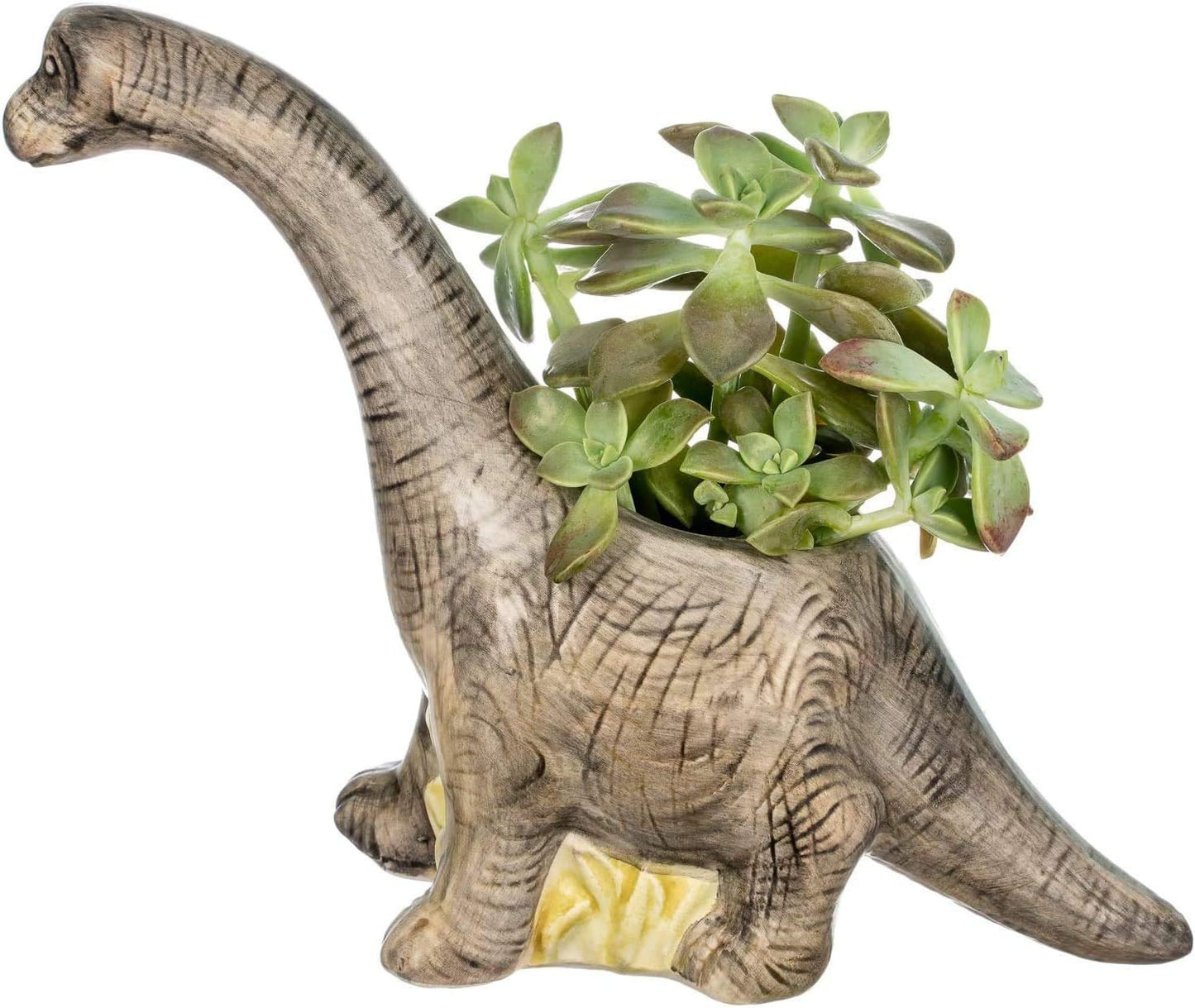 Nautical Crush Trading Animal Planter, Dinosaur Succulent Ceramic Pot, 7.5x9.5x3 inches, Indoor
