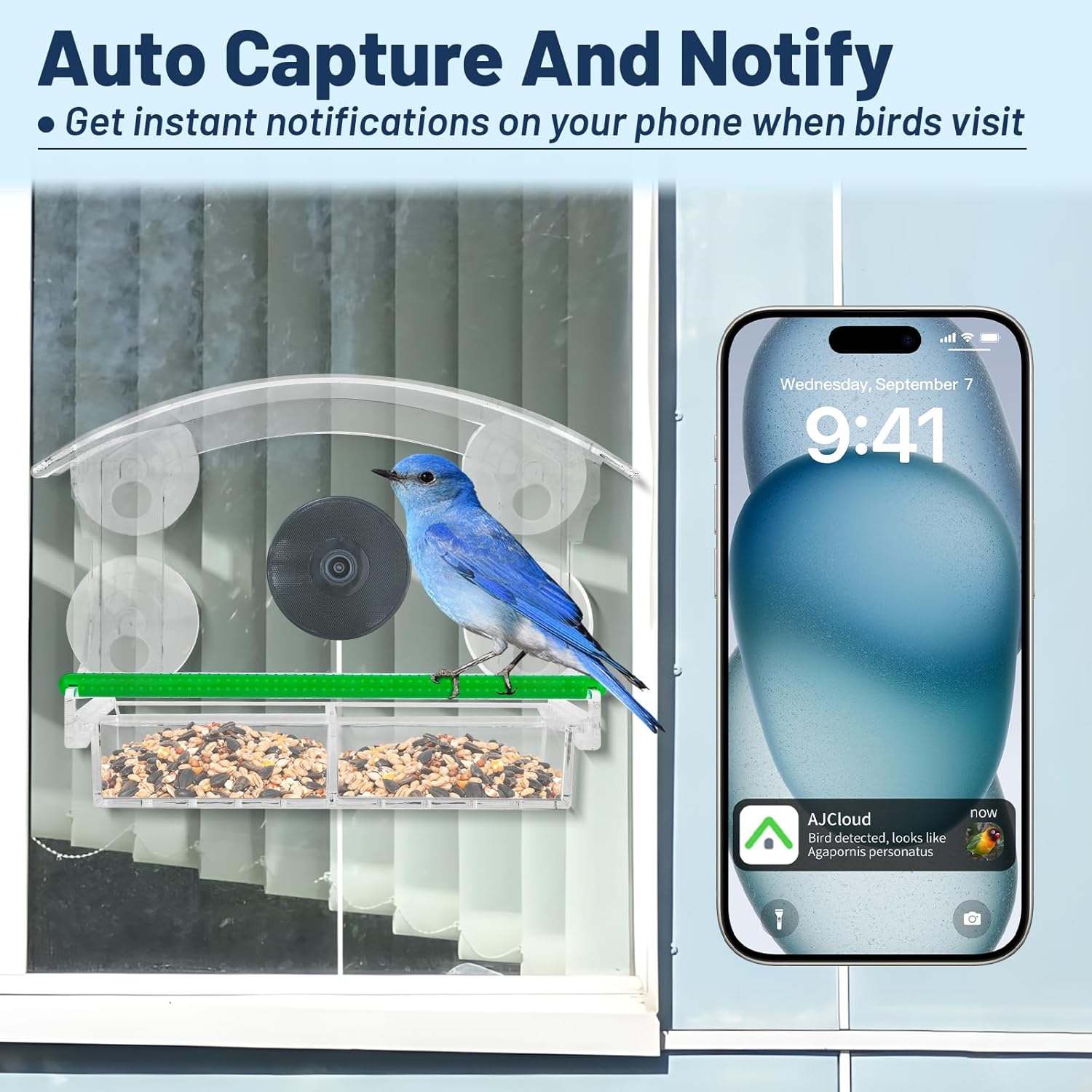 Smart Window Bird Feeder with Camera, 1080P HD Birds Feeder with Night
