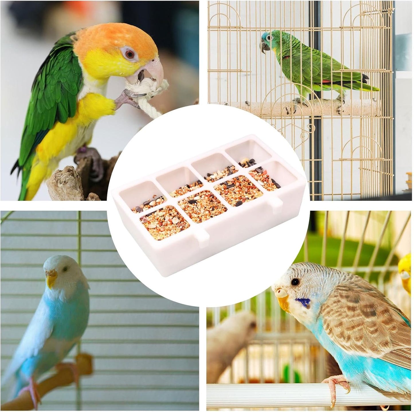 Bird Cage Feeder - 8-Grid Parakeet Water Dispenser - Parakeet Accessories for Yard Indoor Courtyard Garden Outdoors Balconies Wall Door Patio Porch Gazebo