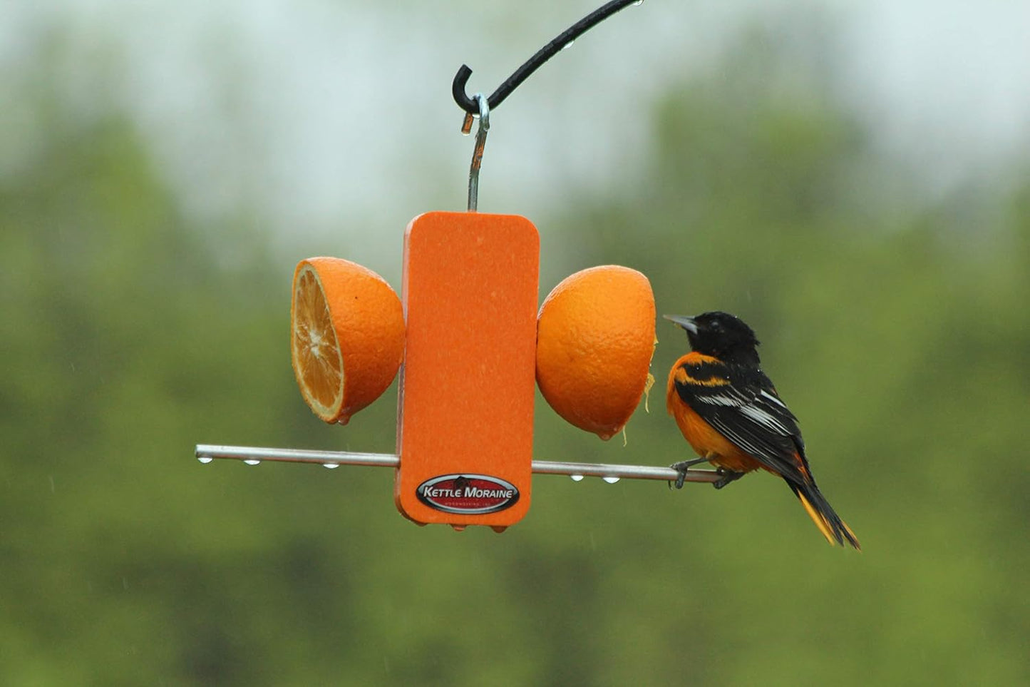 Kettle Moraine Recycled Single Oriole Orange Fruit Stick Feeder