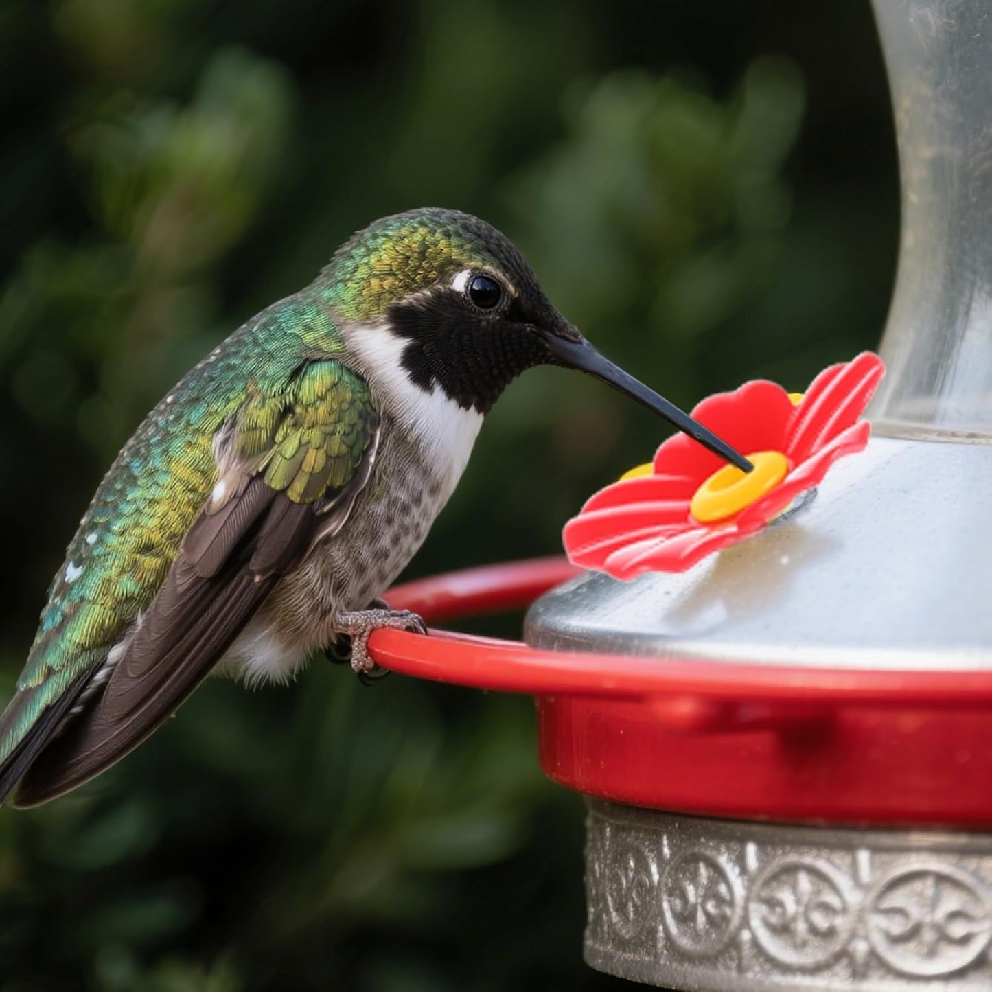 20 Pieces Hummingbird Feeders Replacement Flowers - Hummingbird Feeder