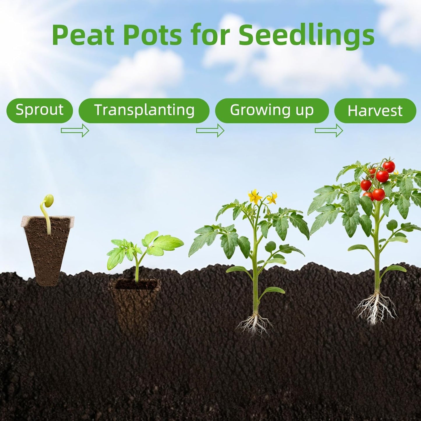 Seed Starter Tray - 300 Cells Biodegradable Peat Pots for Seedlings, 2