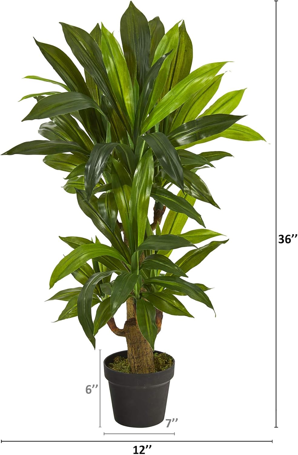 Nearly Natural 3ft. Corn Stalk Dracaena Artificial Plant (Real Touch)