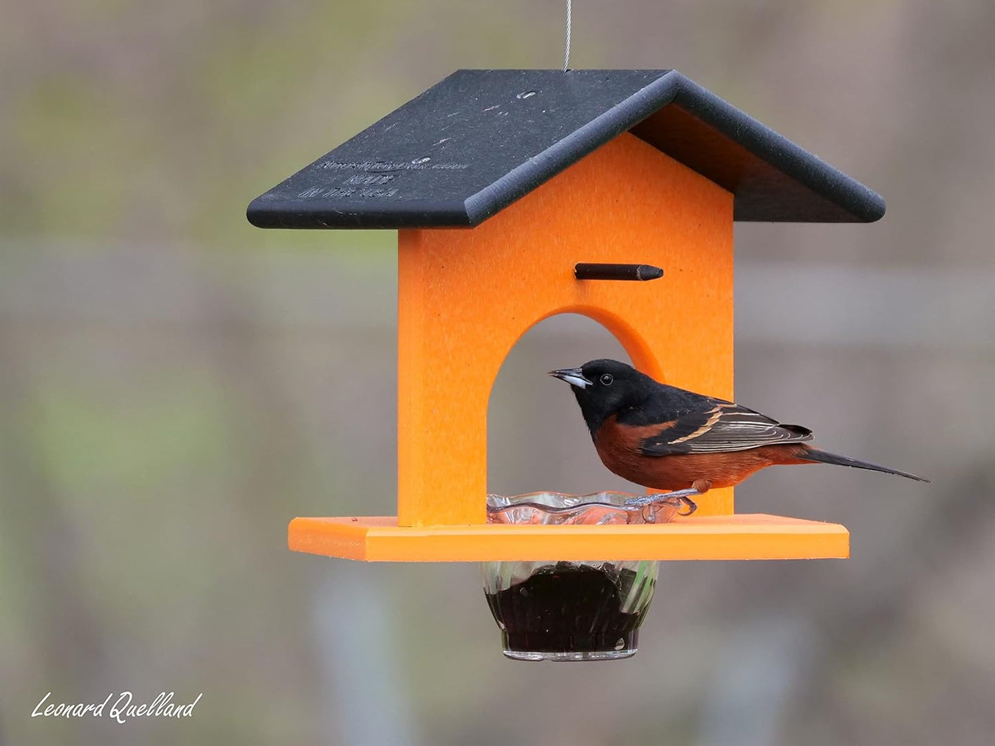 AmishToyBox.com Oriole Bird Feeder, Poly-Lumber Hanging Oriole Jelly Feeder (Orange)