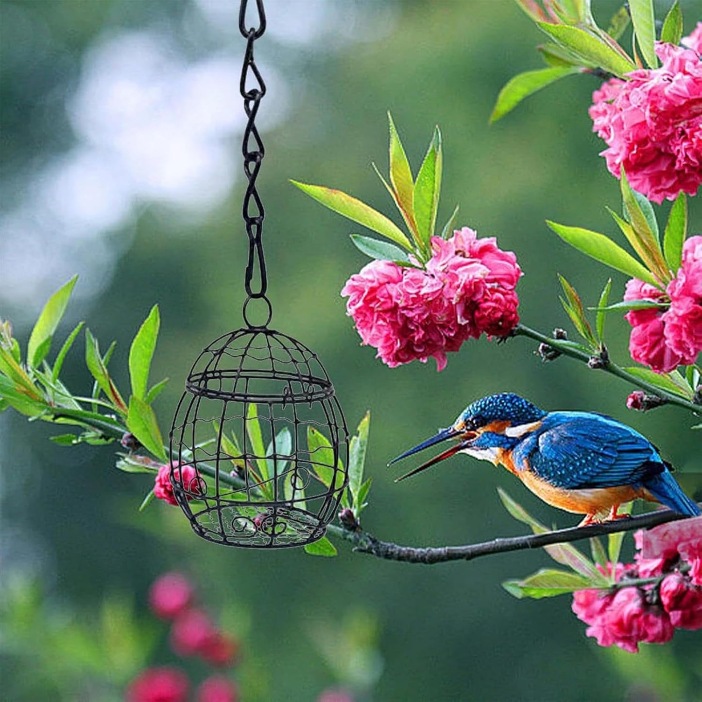 Bird Suet Holder | Metal Hangable Hummingbird Food,with Hook Squirrel Proof Suet Feeder | for Outside Outdoor Yard Patio Backyard Deck