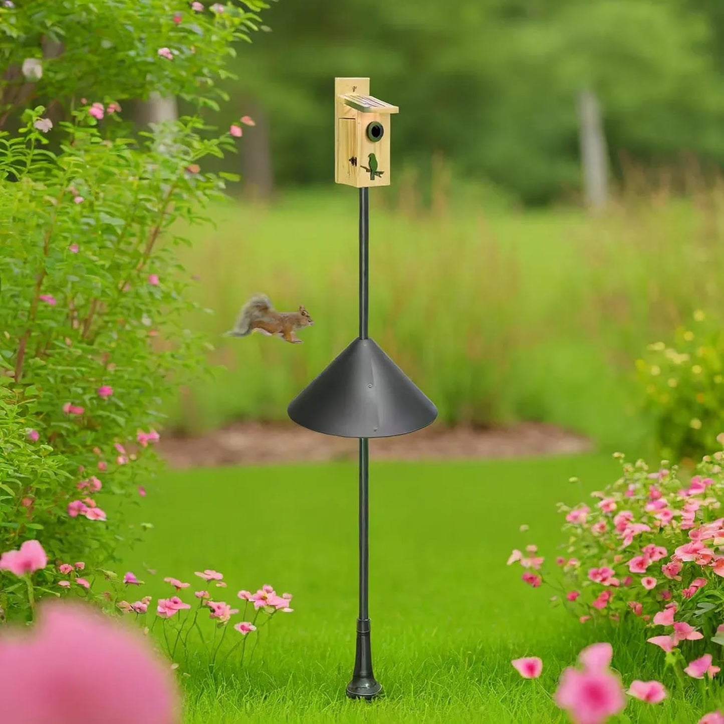 Squirrel Baffle for Bird Feeder Pole, 19-Inch Bird Feeder Squirrel Proof, Baffle Guard, Pole Mount, 2 Pack, Black