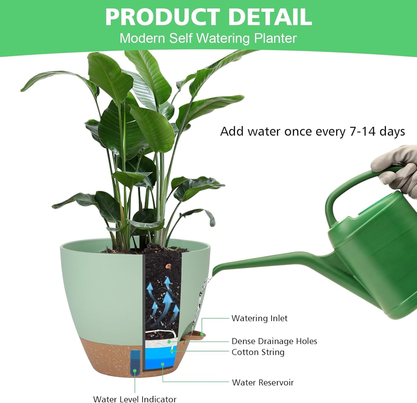 12" 10" 9" 8" Self Watering Pots with Water Level Indicator, Large Pla