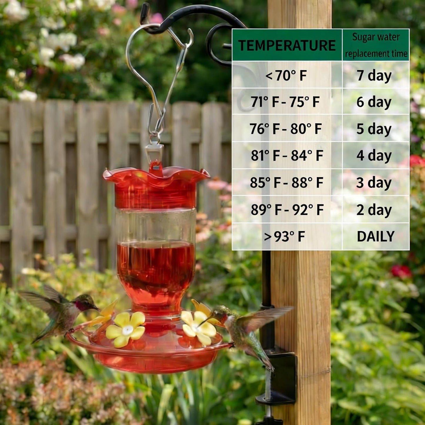 Plastic Hummingbird Feeders for Outdoors 2 Pack - 12oz Clear Bottle wi