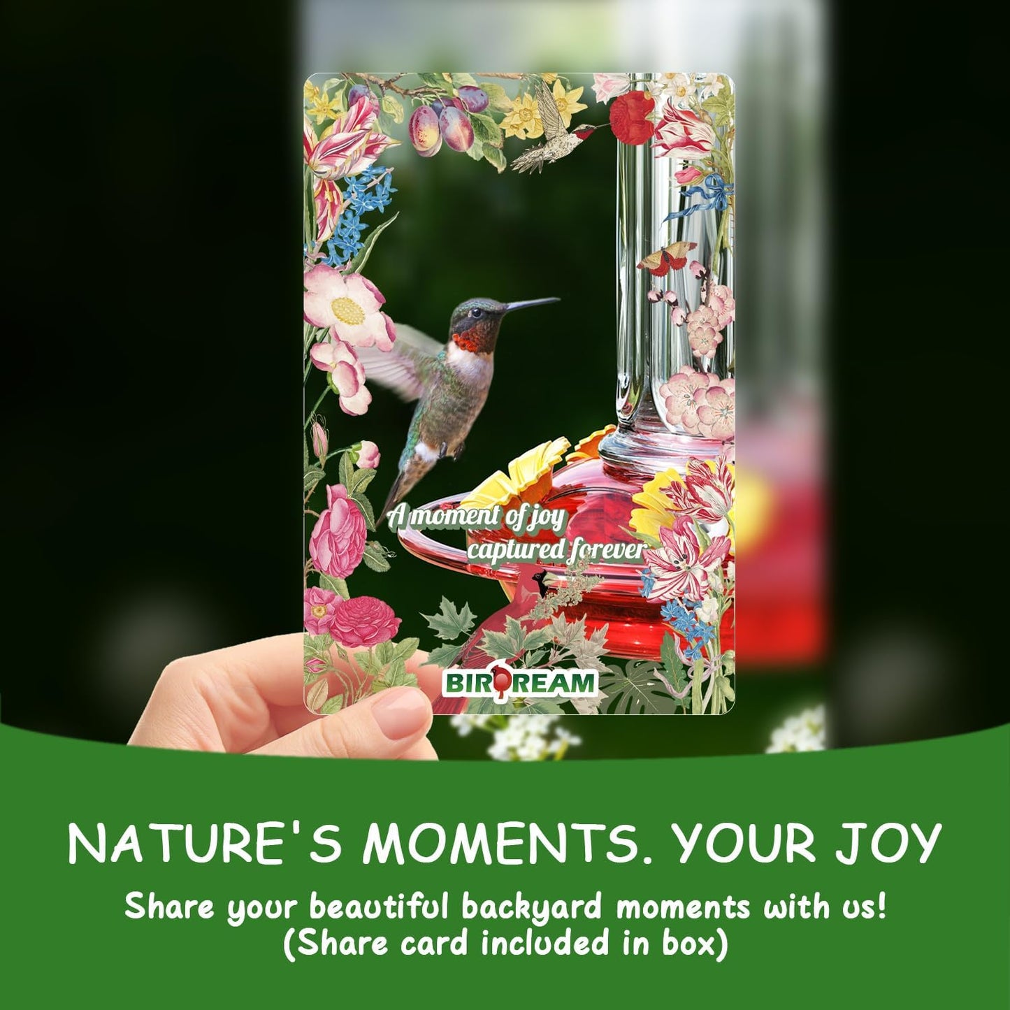 Birdream 2 Pack Hummingbird Feeders for Outdoors Hanging, Plastic Bird
