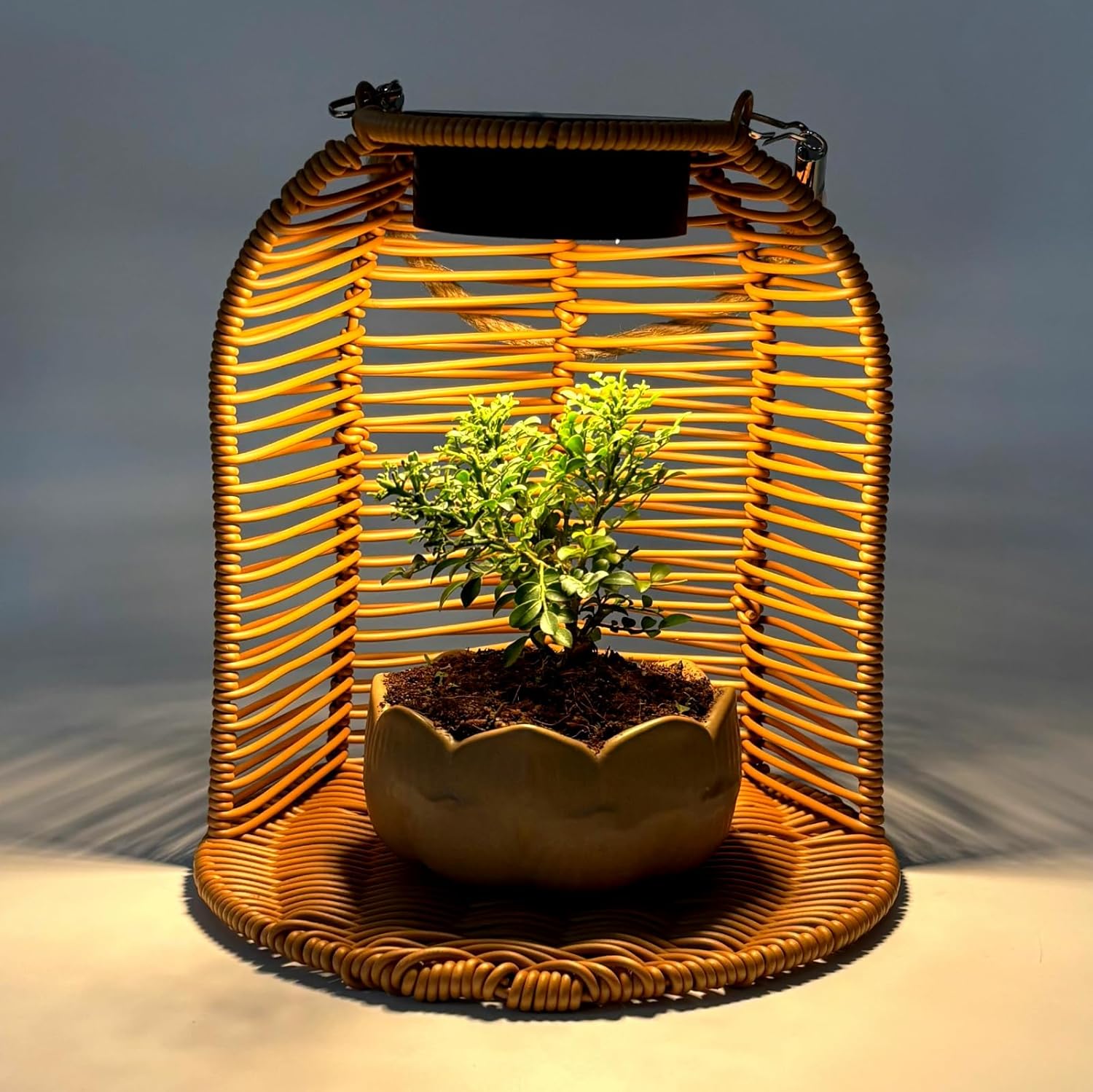 Hanging Planter for Indoor Plants, Rattan Hanging Flower Pots with Sol