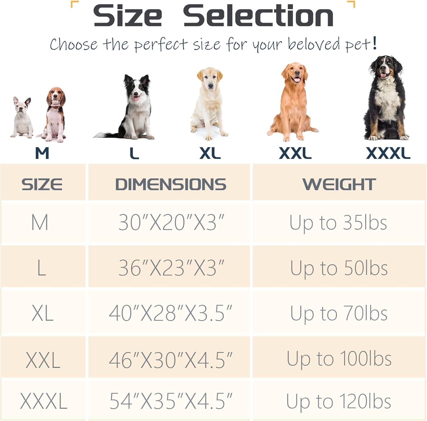 Dog Beds for Medium,Large Dogs Breeds,Sofa Dog Bed with Pillow for Cra