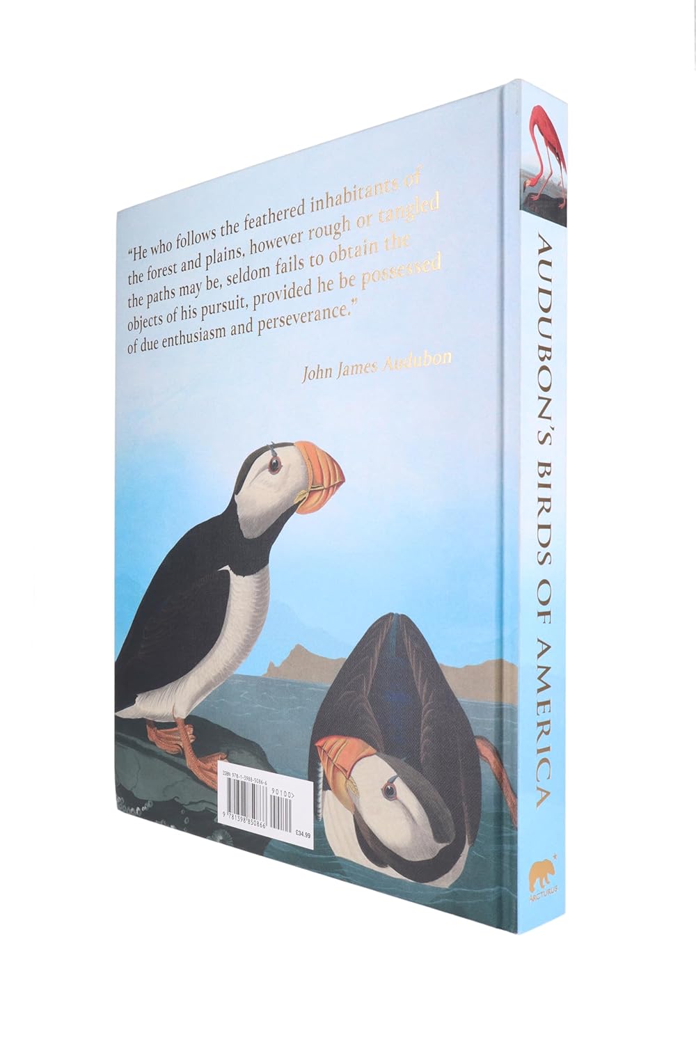 Audubon's Birds of America (Arcturus Epic Classics)