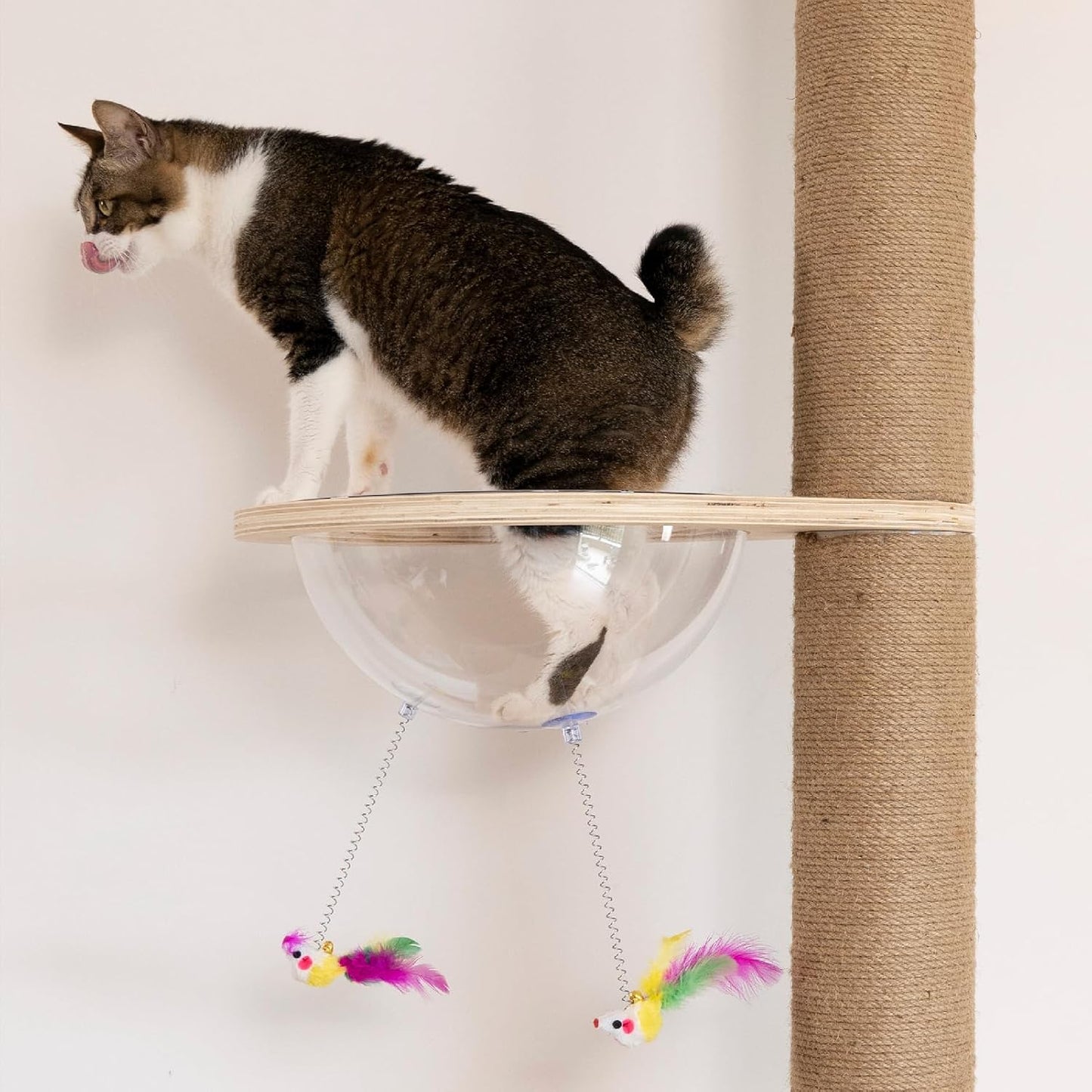 Floor to Ceiling Cat Tree Height (50-120in) Adjustable Cat Tower 5 Tie