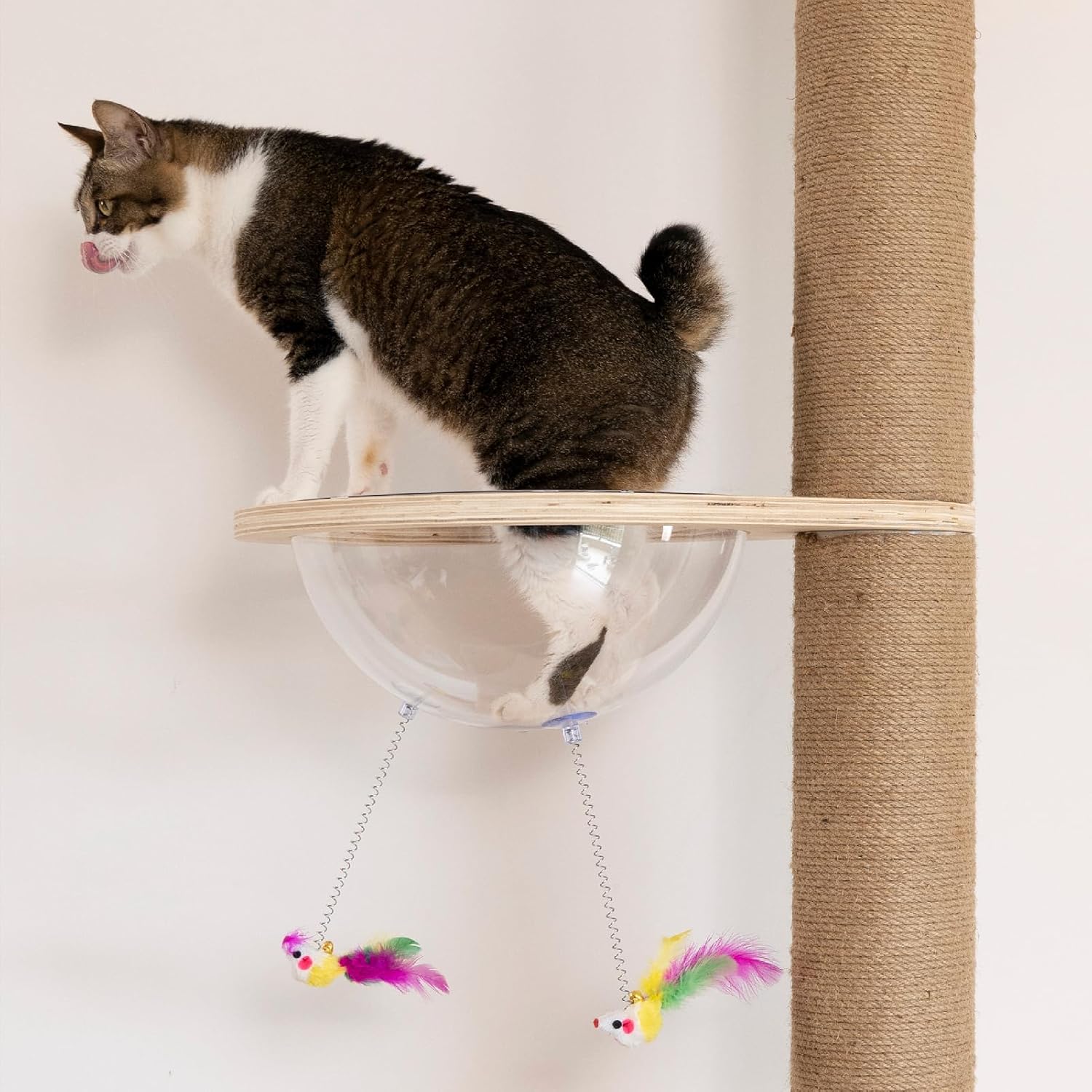 Floor to Ceiling Cat Tree Height (50-120in) Adjustable Cat Tower 5 Tie
