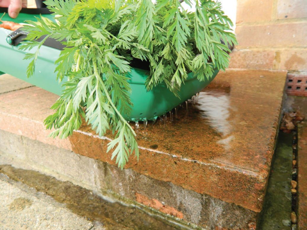GP184 Colander Trug
