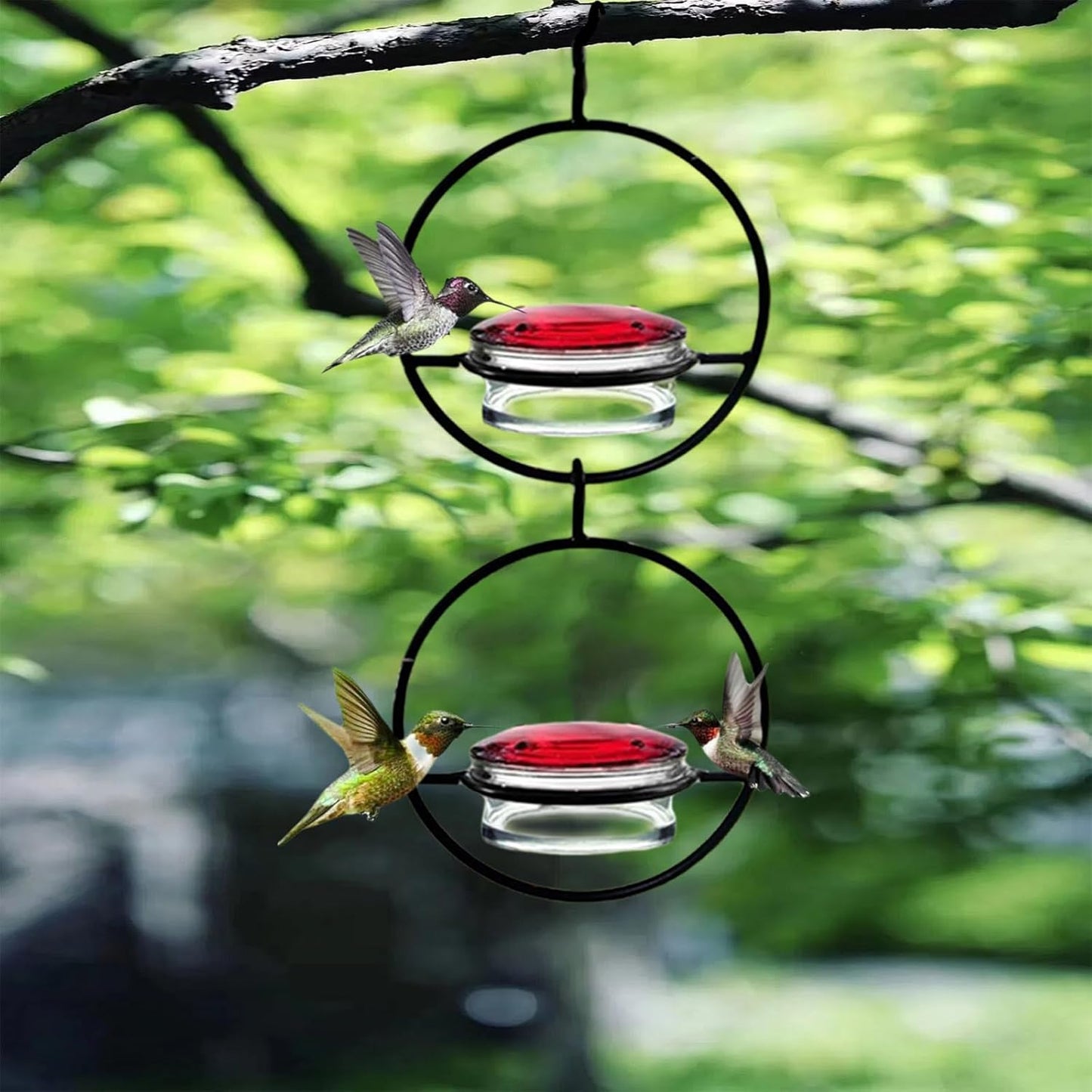 2025 New Model 3 Pack Humble Slim Hummingbird Feeder - Circular Leak-Resistant Design, Easy Clean & Fill, Outdoor Hanging Feeders for Garden, Backyard, Patio, Window (Red)