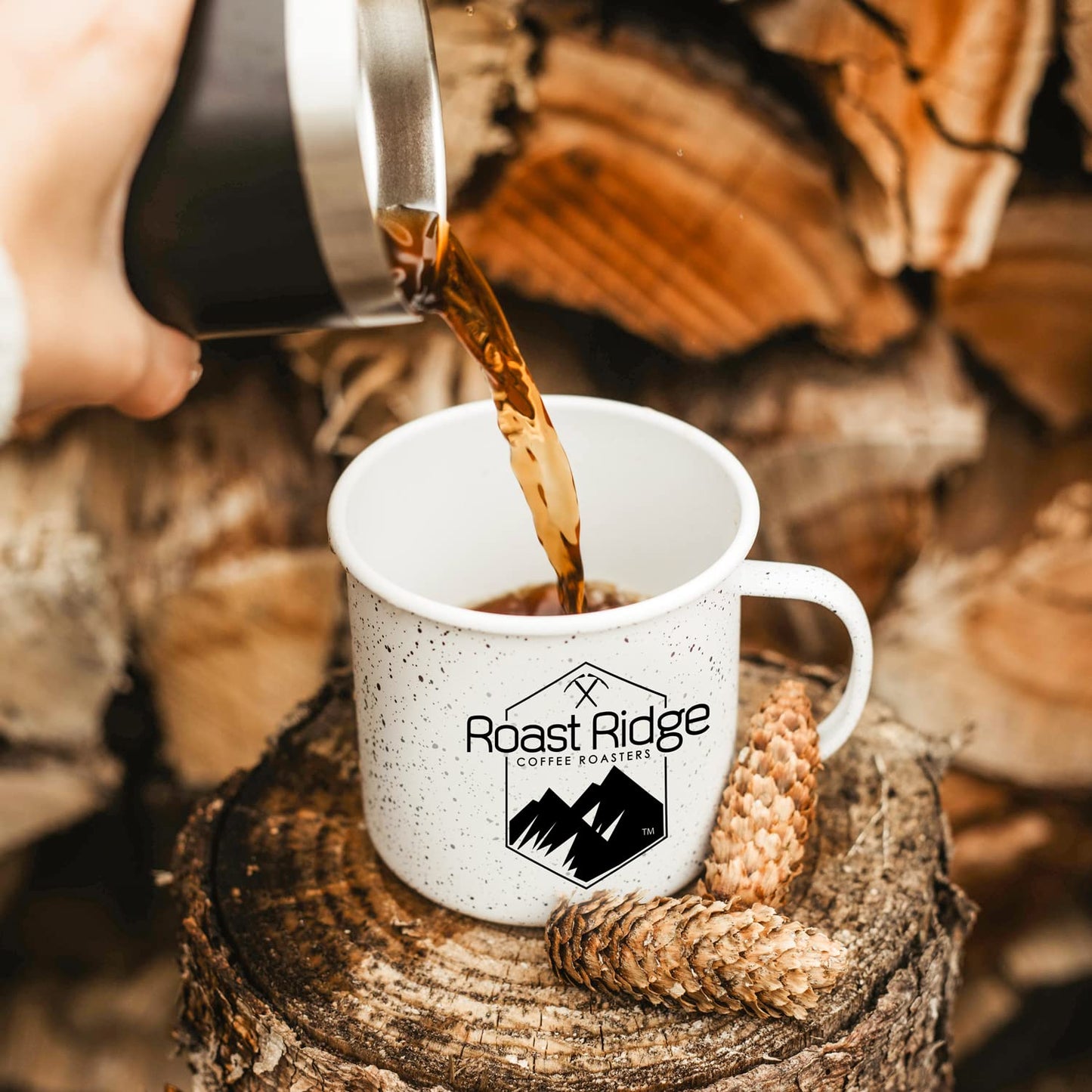 Roast Ridge Single Serve Coffee Pods for Keurig K-Cup Brewers, Variety
