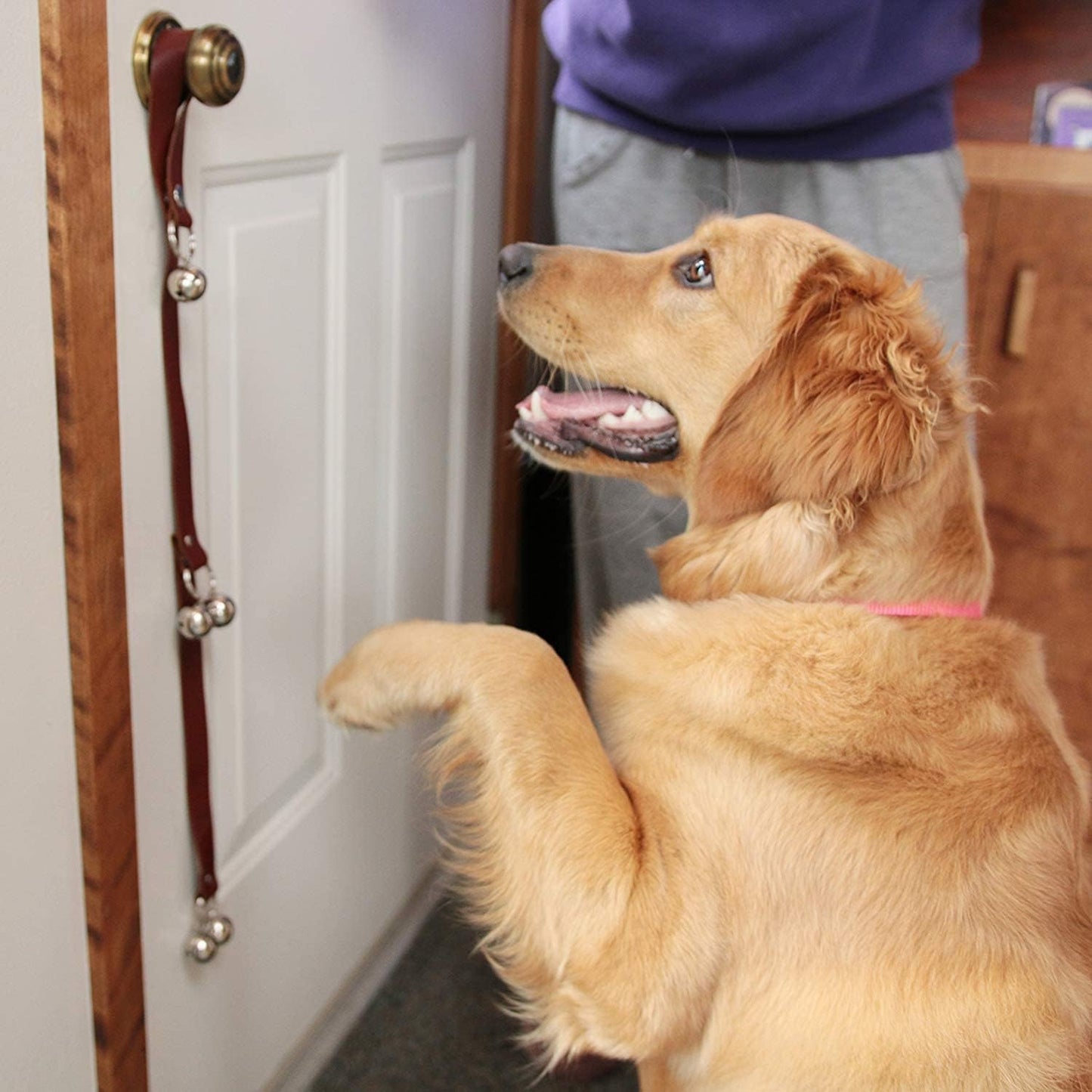 Leather Dog Doorbells for Door Knob, Adjustable Brass Potty Training B
