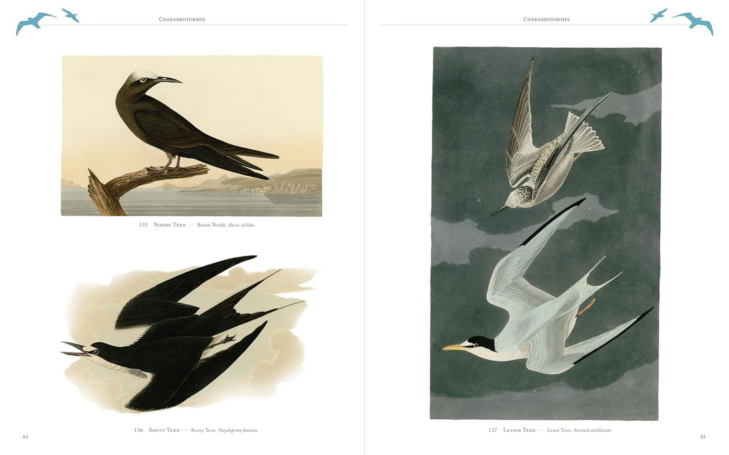 Audubon's Birds of America (Arcturus Epic Classics)