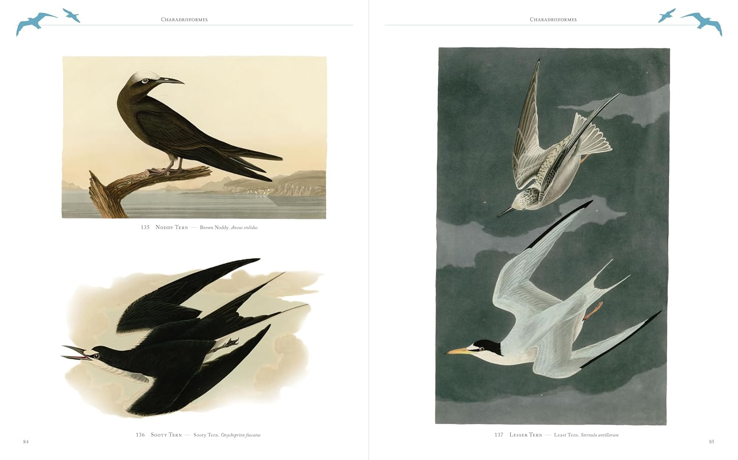 Audubon's Birds of America (Arcturus Epic Classics)