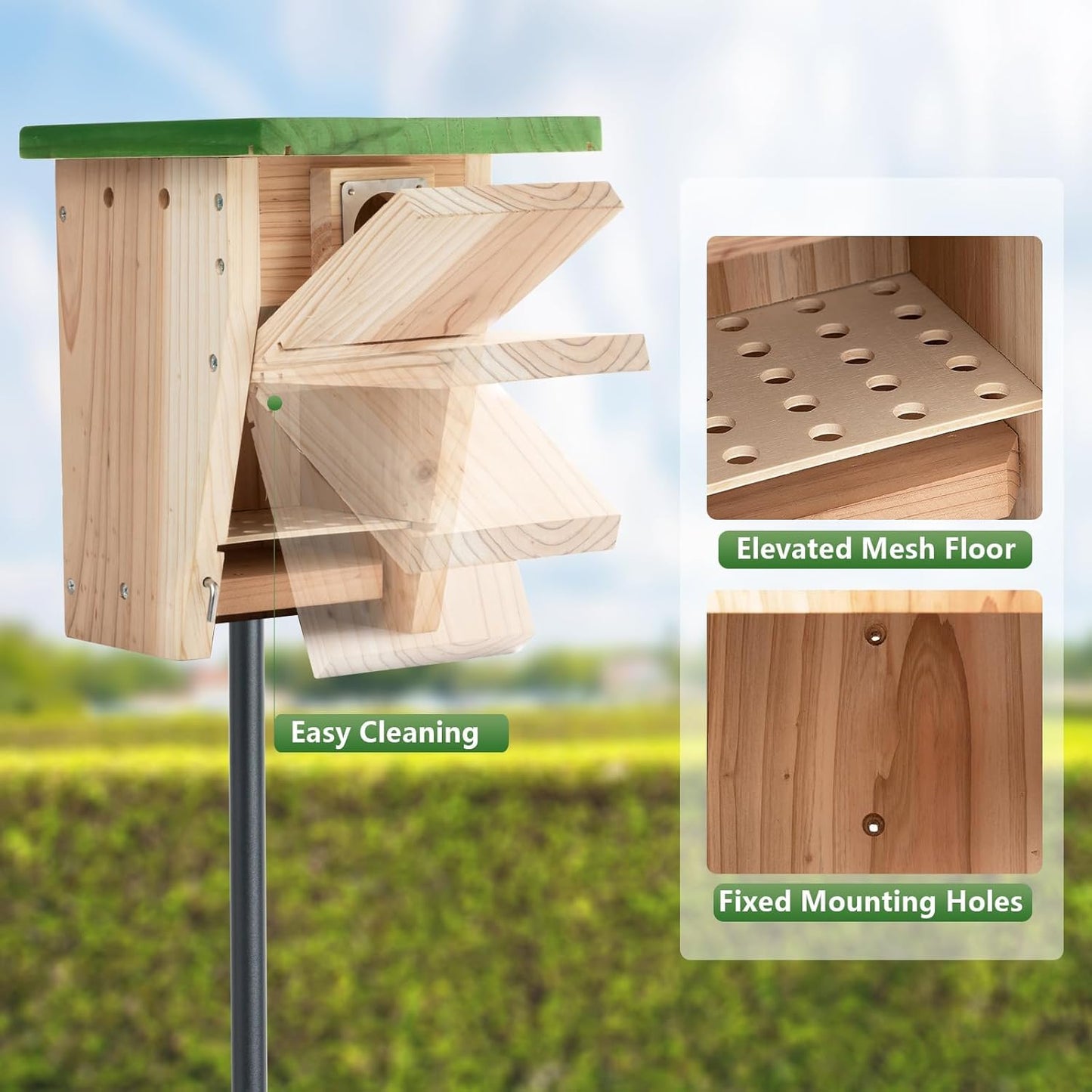 3/4 Inch Thick Cedar Bird House with Metal Predator Guard | Squirrel Proof Nesting Box for Easy Cleaning | Outdoor Wooden Bluebird House for Wild Bird Watching, Swallow, Wren, Chickadee