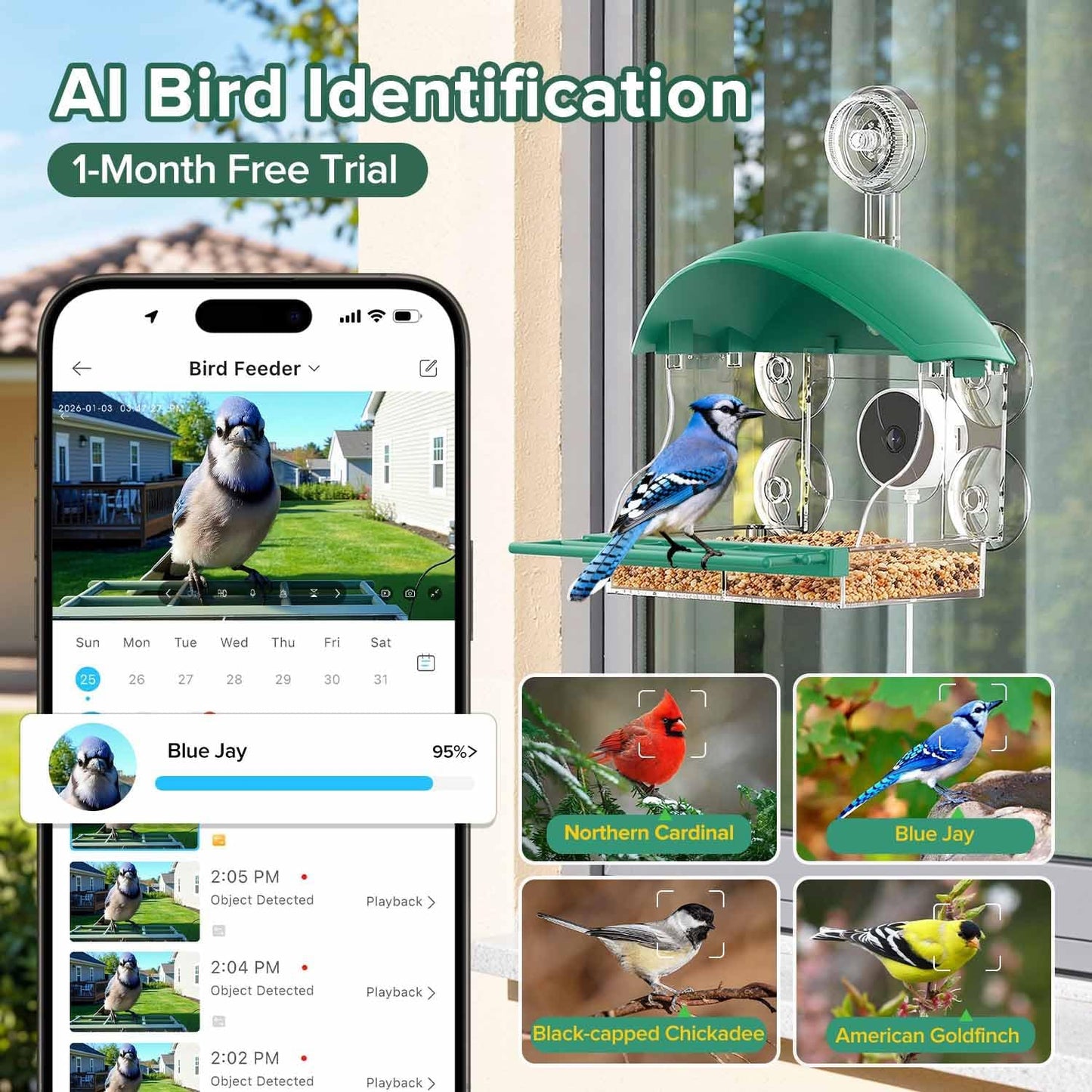 Window Bird Feeder with Camera,2K Live Video,AI Bird Identification,Instant Arrival Alerts,24/7 Recording,Support 2.4G/5G WiFi,SD Card&Cloud Storage,Featuring 5 Strong Suction Cups.