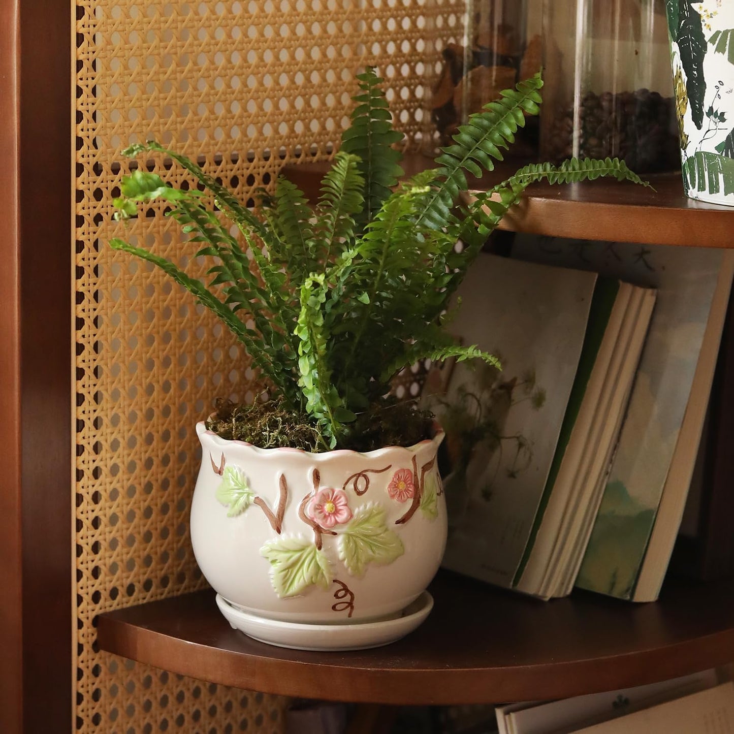 Ceramic Plant Pots with Drainage Holes and Saucers, Round Flower Pots 