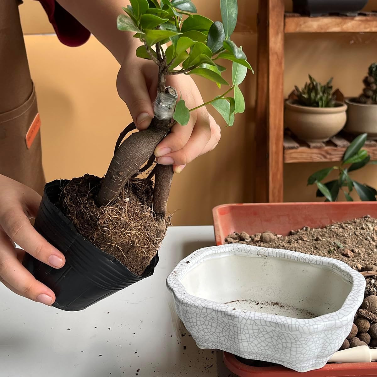 MUZHI 2 Pack Amazing Ice Crack Glazed Ceramic Bonsai Pot White Color 5 Inch with Bamboo Tray, Plant Pot Succulent Planter for Office Home Garden Decor Gift