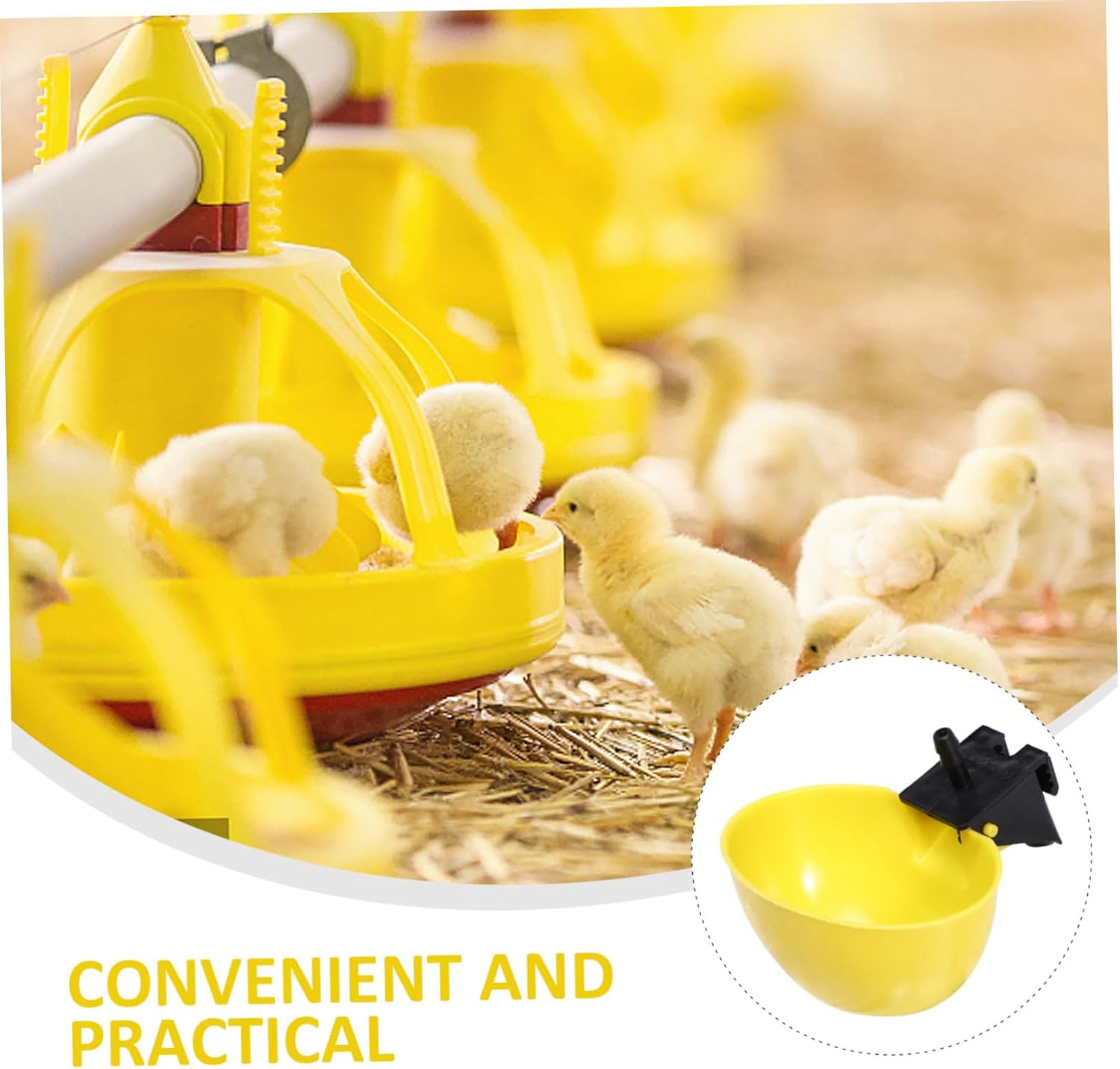 Milisten 10pcs Automatic Pigeon Water Feeders Drinking Bowls for Quail