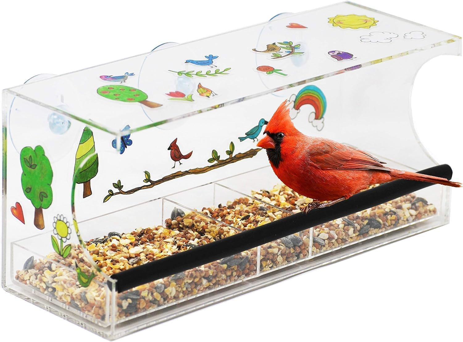 Hapinest Decorate Your Own Window Bird Feeder Craft Kit - Gifts for Ki