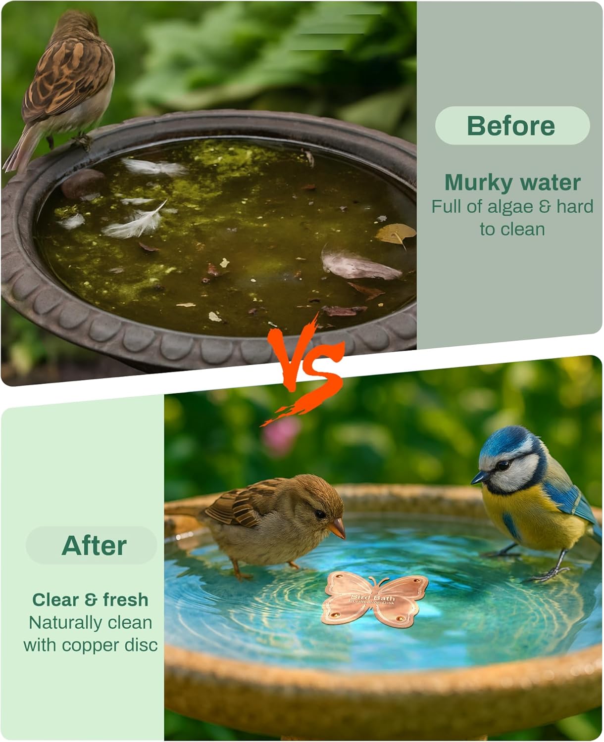 Bird Bath Purification Disk Pure Copper Outside Winter Solar Power Birdbath Hummingbird Water Pedestal Fountain Cleaner Outdoor Feeder Cage Dispenser Heater Ground House Garden Lover Gift