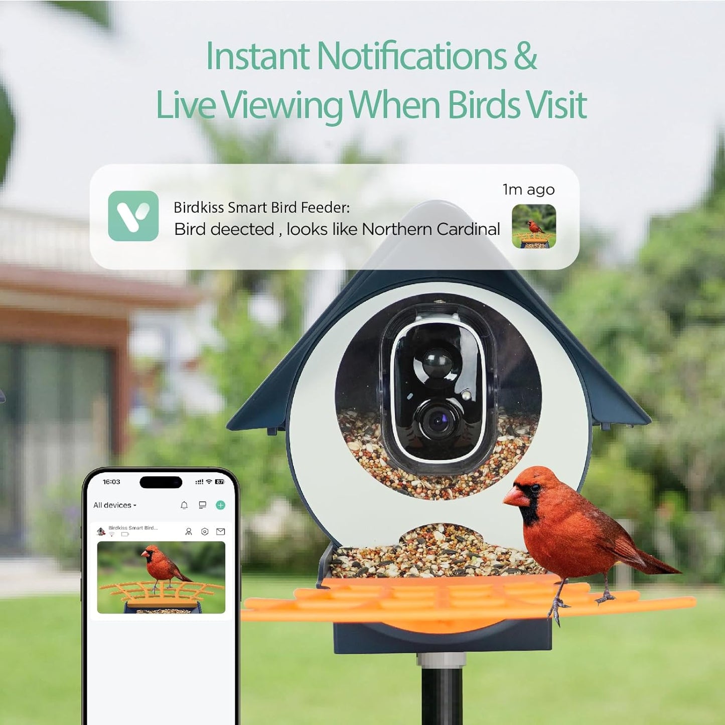 Birdkiss Smart Camera Bird Feeder with Squirrel Proof Seed Guard, AI Identifies Birds, Auto Captures Full HD Videos & Instant Notifications, Ideal for Bird Lovers, Deep Blue