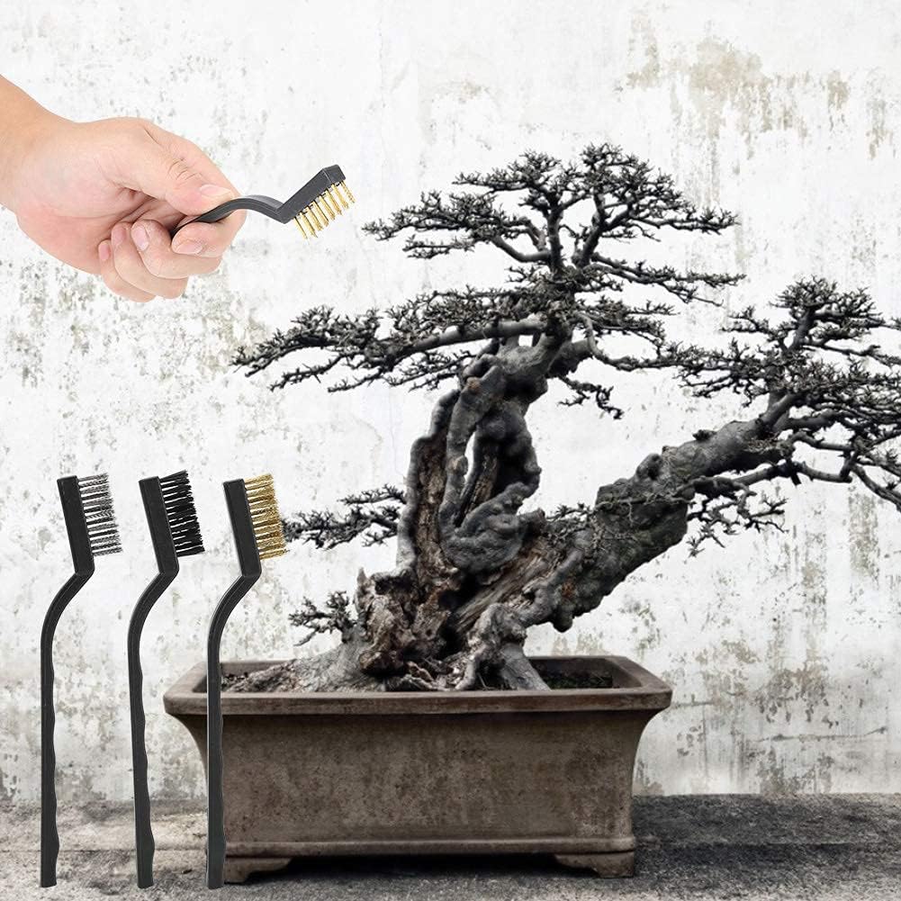 Mini Wire Brush Bonsai Brush, 3pcs Wire Bristle with Plastic Handle Ma