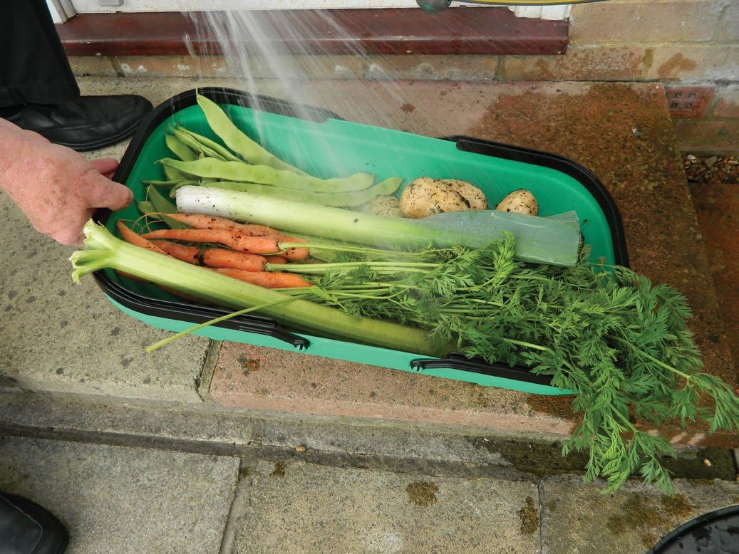 GP184 Colander Trug